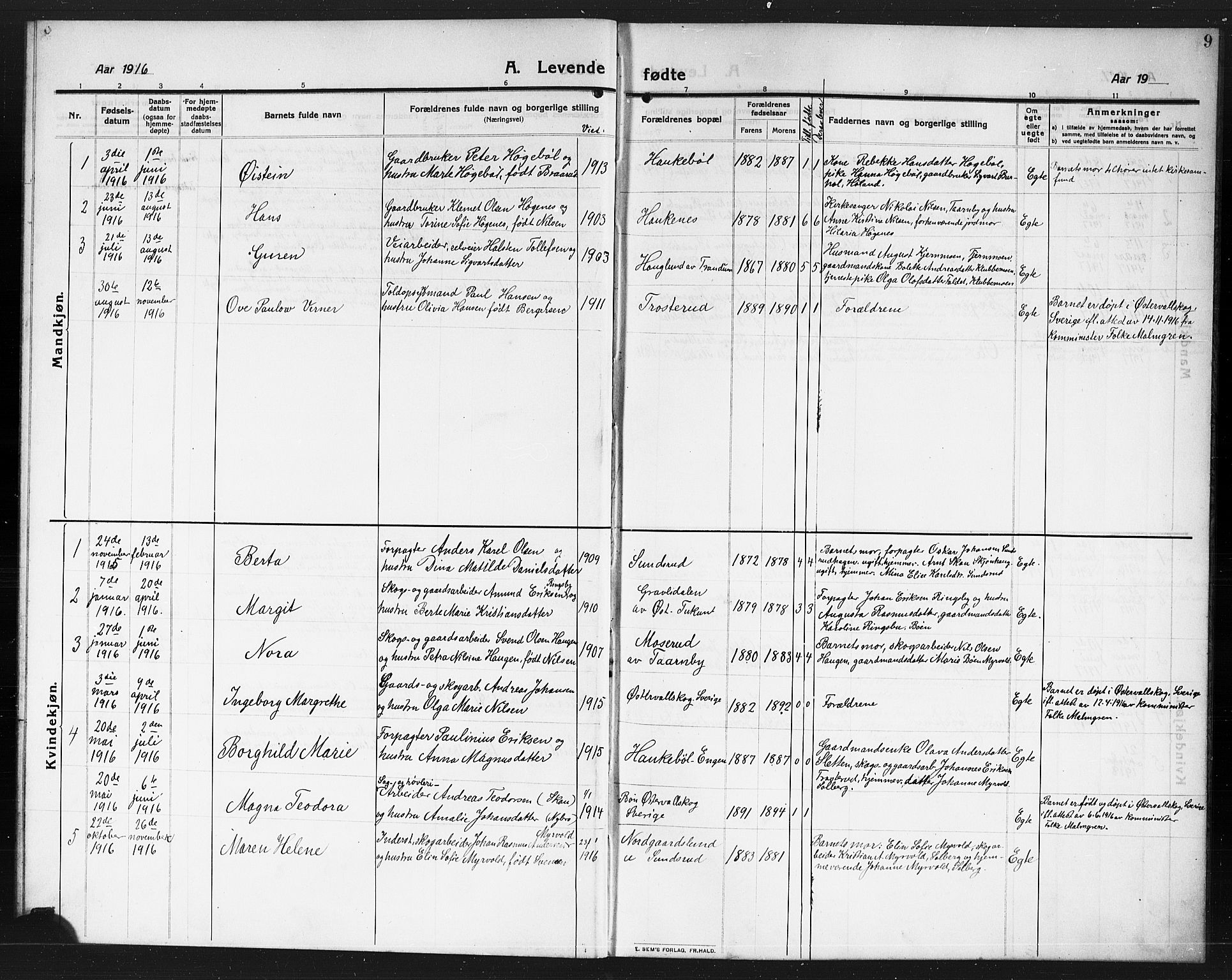 Rødenes prestekontor Kirkebøker, AV/SAO-A-2005/G/Gb/L0002: Parish register (copy) no. II 2, 1911-1921, p. 9