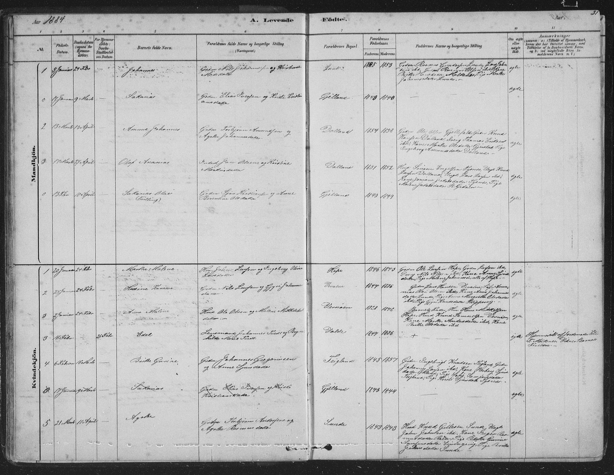 Tysnes sokneprestembete, AV/SAB-A-78601/H/Hab: Parish register (copy) no. B 2, 1878-1918, p. 31