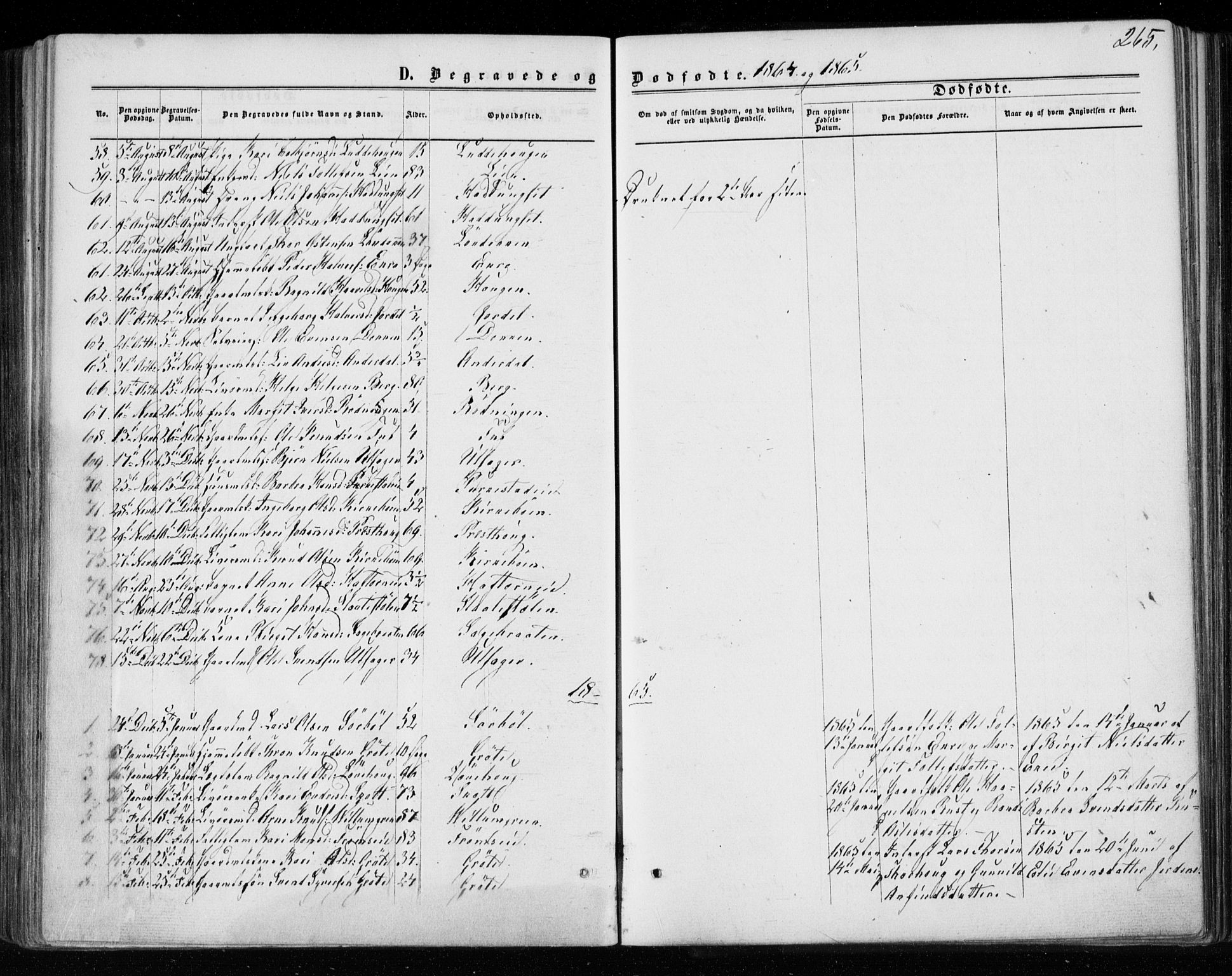 Gol kirkebøker, AV/SAKO-A-226/F/Fa/L0003: Parish register (official) no. I 3, 1863-1875, p. 265