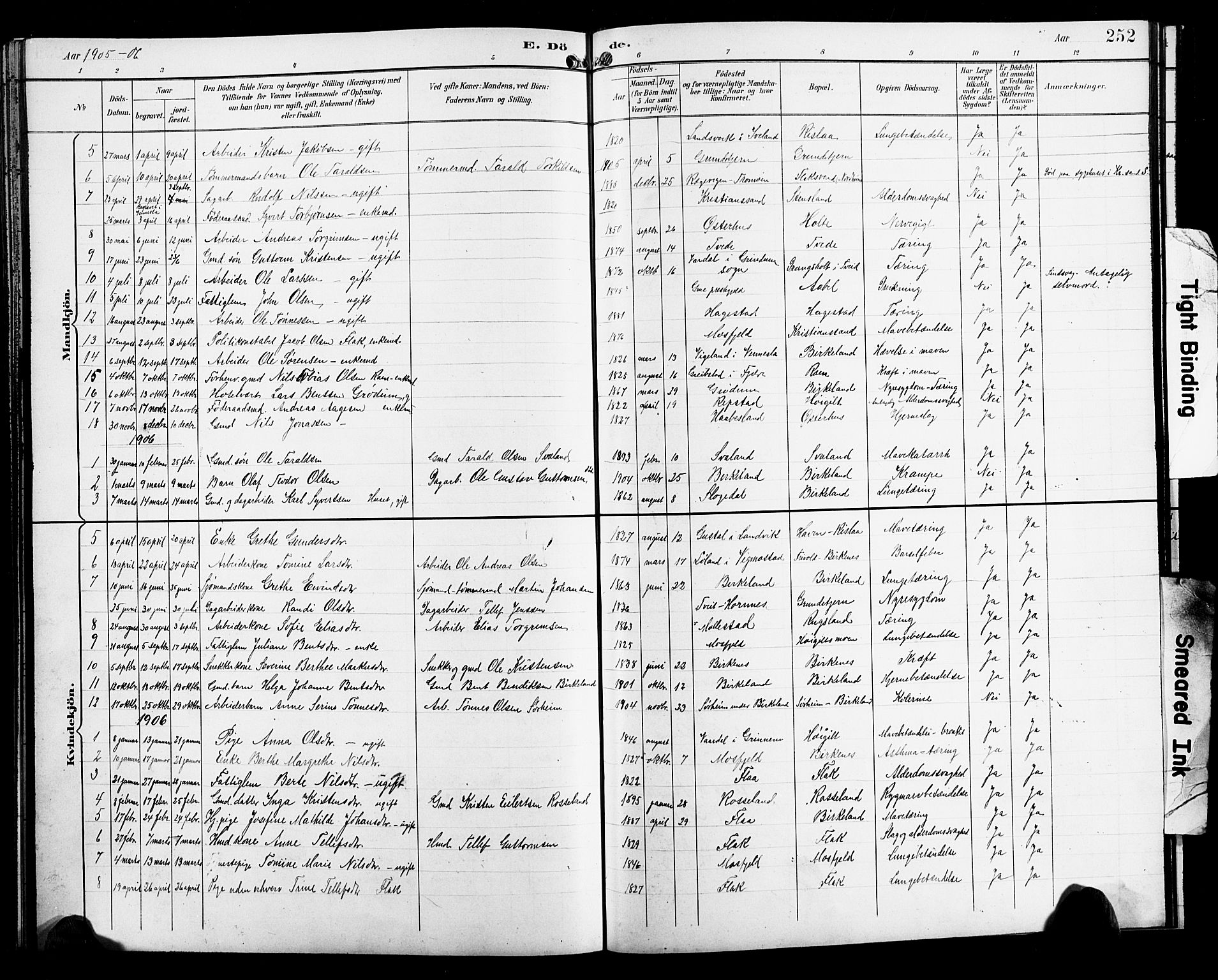 Birkenes sokneprestkontor, SAK/1111-0004/F/Fb/L0004: Parish register (copy) no. B 4, 1893-1930, p. 252
