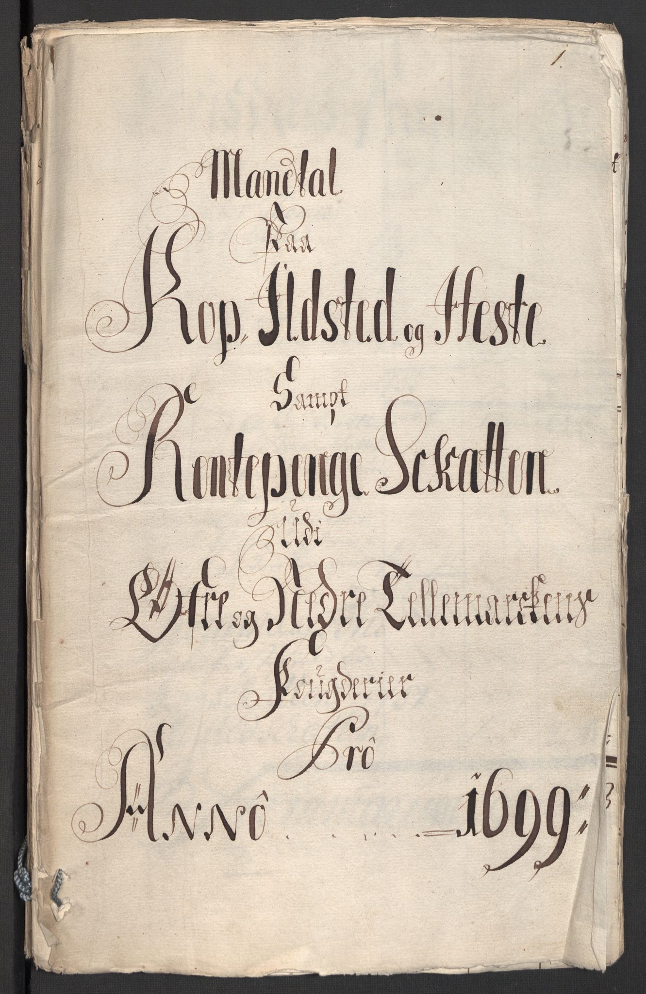 Rentekammeret inntil 1814, Reviderte regnskaper, Fogderegnskap, AV/RA-EA-4092/R36/L2104: Fogderegnskap Øvre og Nedre Telemark og Bamble, 1700, p. 38