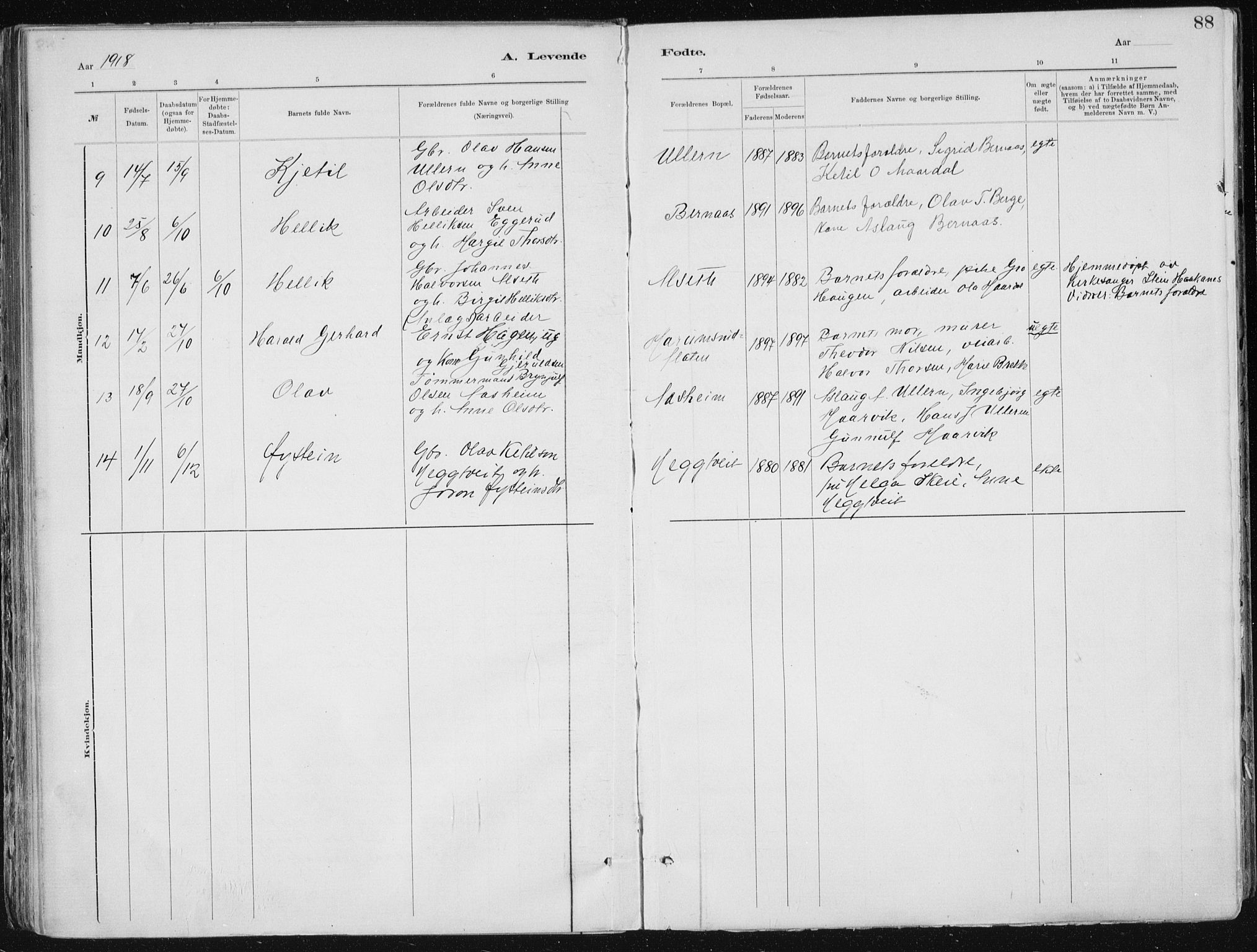 Tinn kirkebøker, AV/SAKO-A-308/F/Fa/L0007: Parish register (official) no. I 7, 1878-1922, p. 88