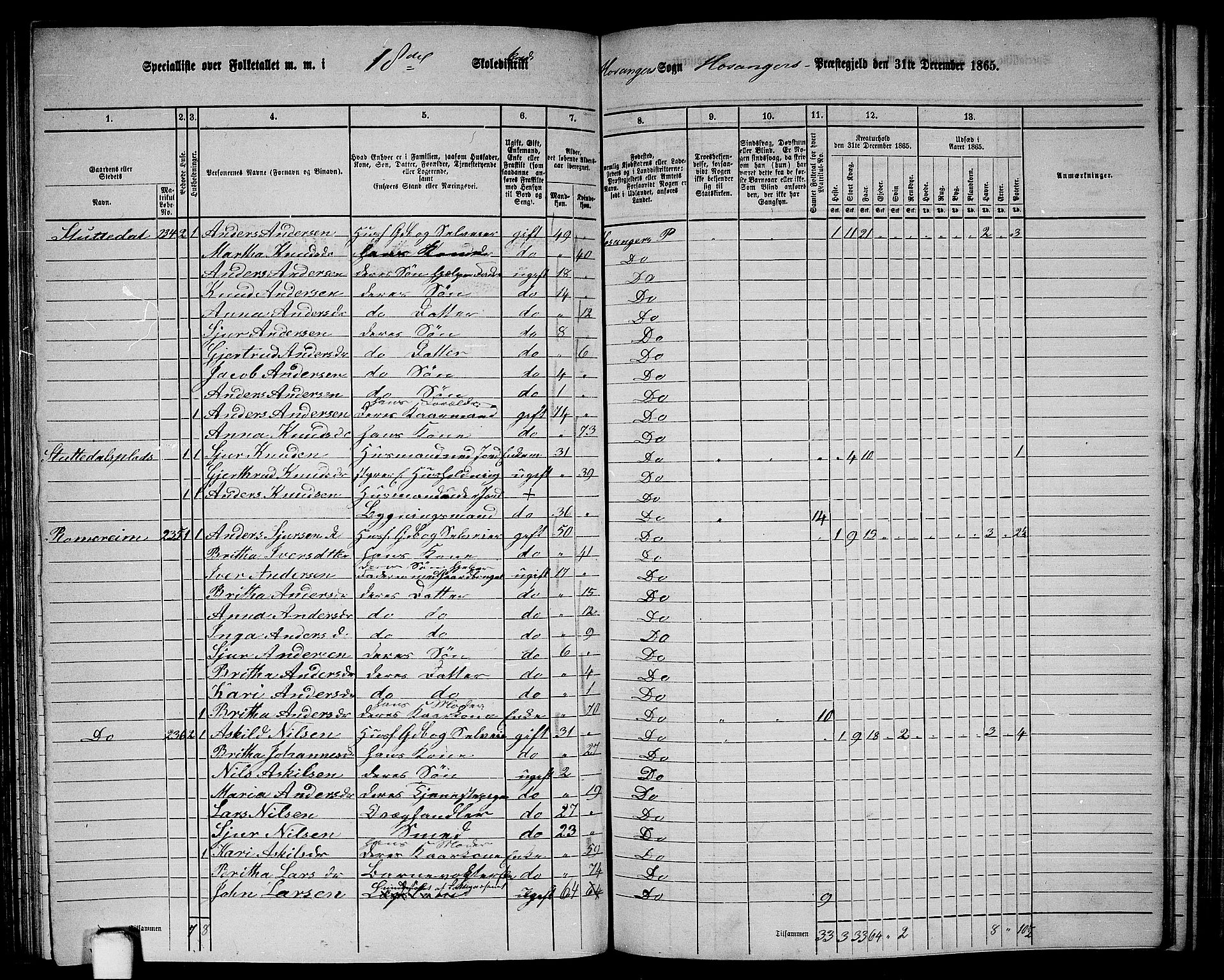 RA, 1865 census for Hosanger, 1865, p. 110