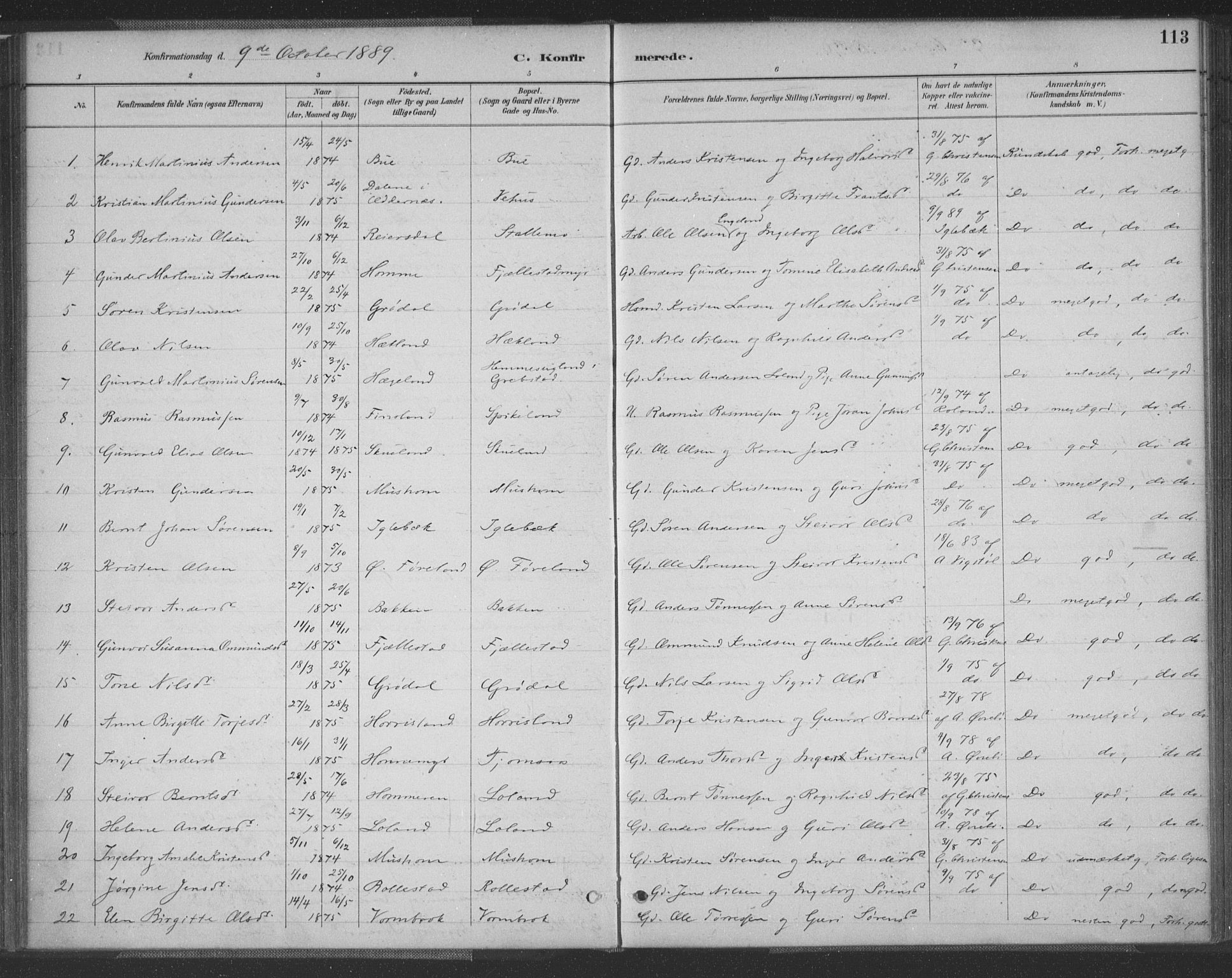 Vennesla sokneprestkontor, SAK/1111-0045/Fa/Fac/L0009: Parish register (official) no. A 9, 1884-1901, p. 113