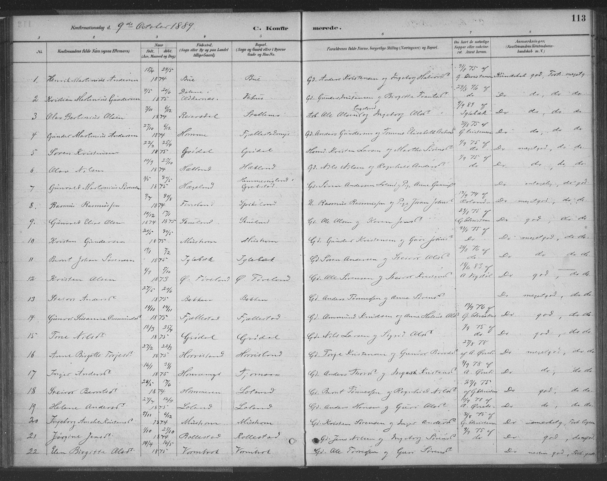 Vennesla sokneprestkontor, AV/SAK-1111-0045/Fa/Fac/L0009: Parish register (official) no. A 9, 1884-1901, p. 113