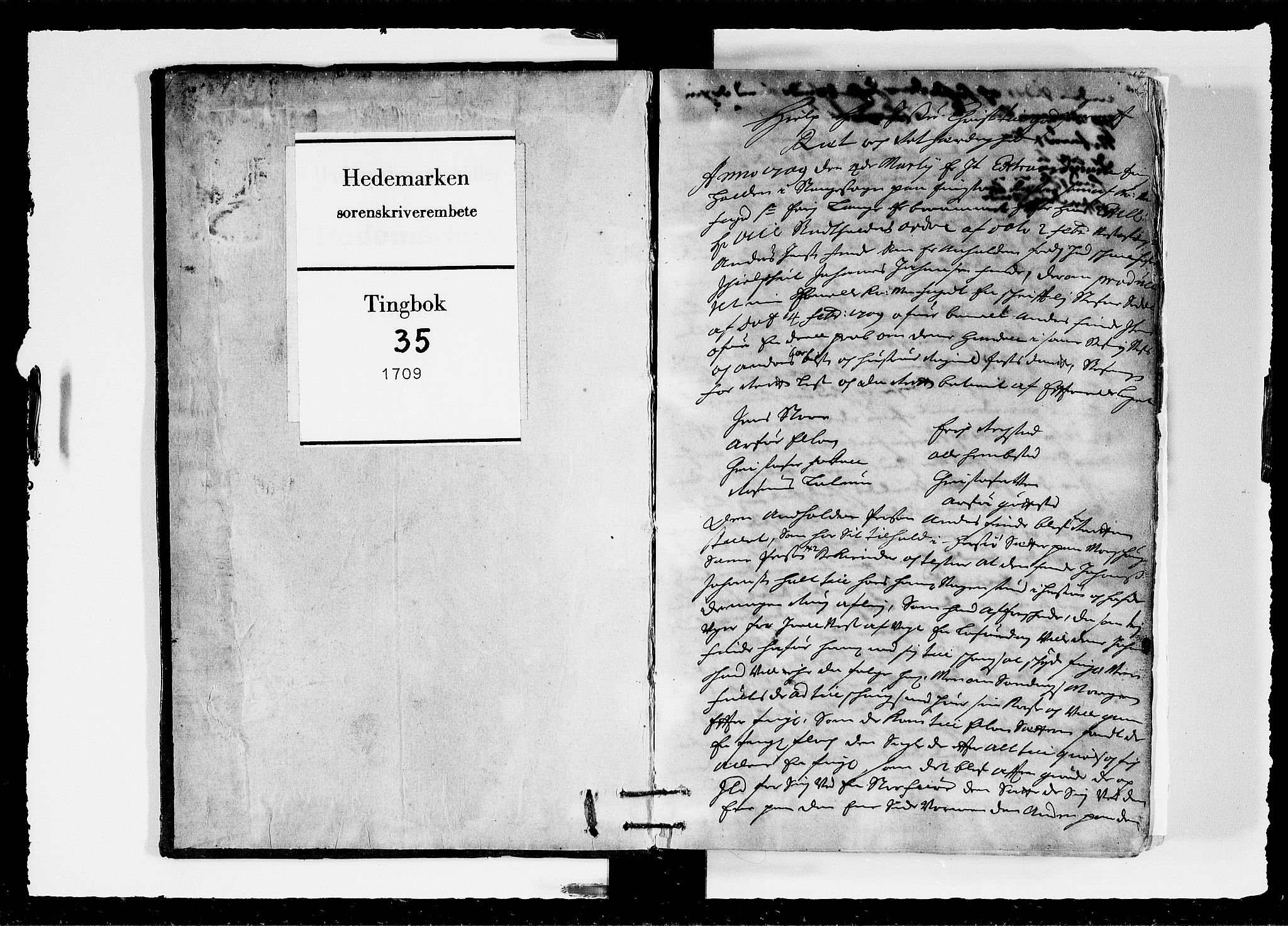 Hedemarken sorenskriveri, SAH/TING-034/G/Gb/L0035: Tingbok, 1709, p. 0b-1a