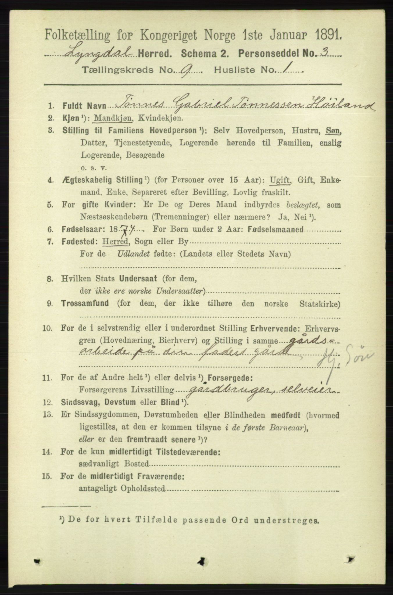 RA, 1891 census for 1032 Lyngdal, 1891, p. 3702