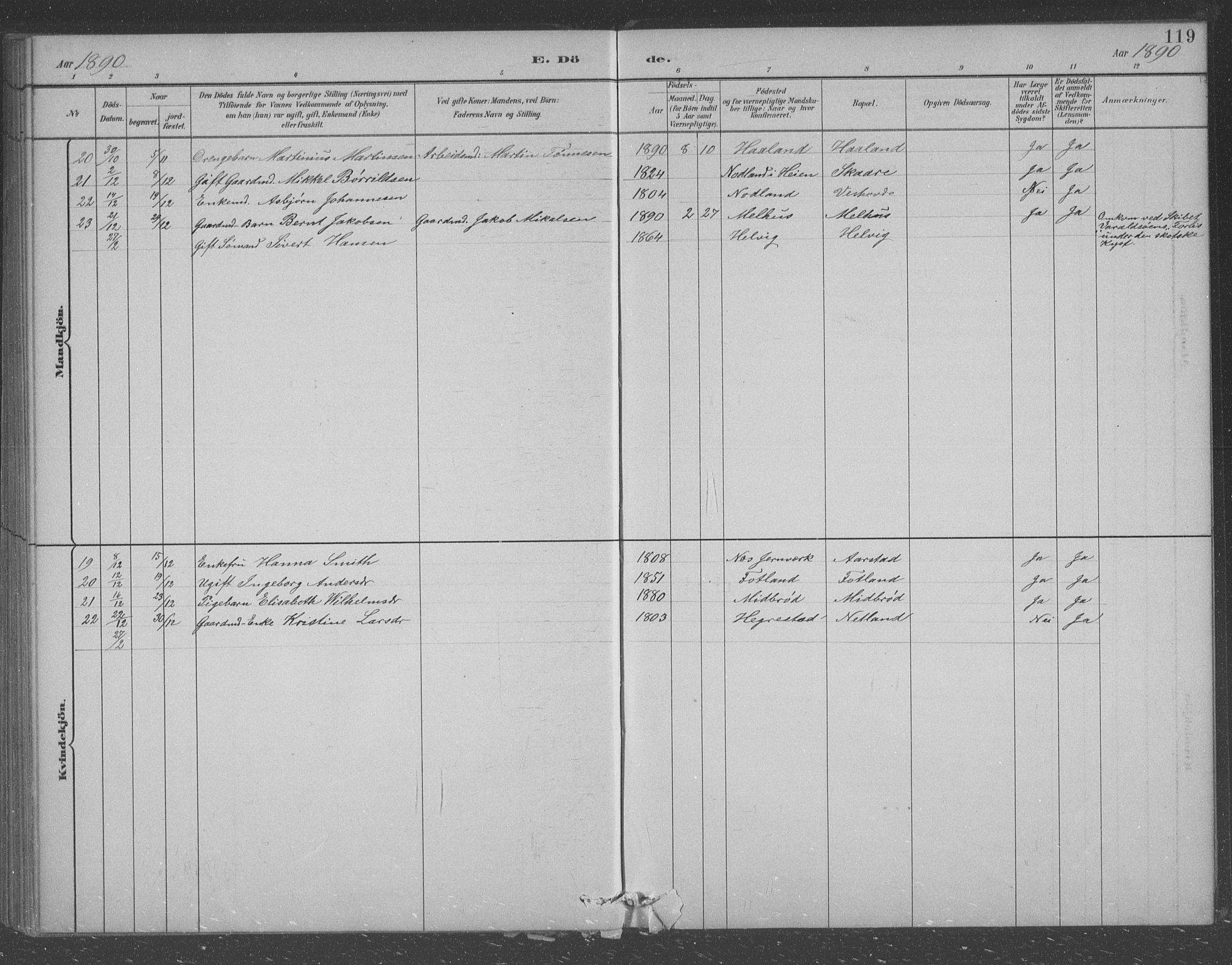 Eigersund sokneprestkontor, AV/SAST-A-101807/S09/L0007: Parish register (copy) no. B 7, 1882-1892, p. 119