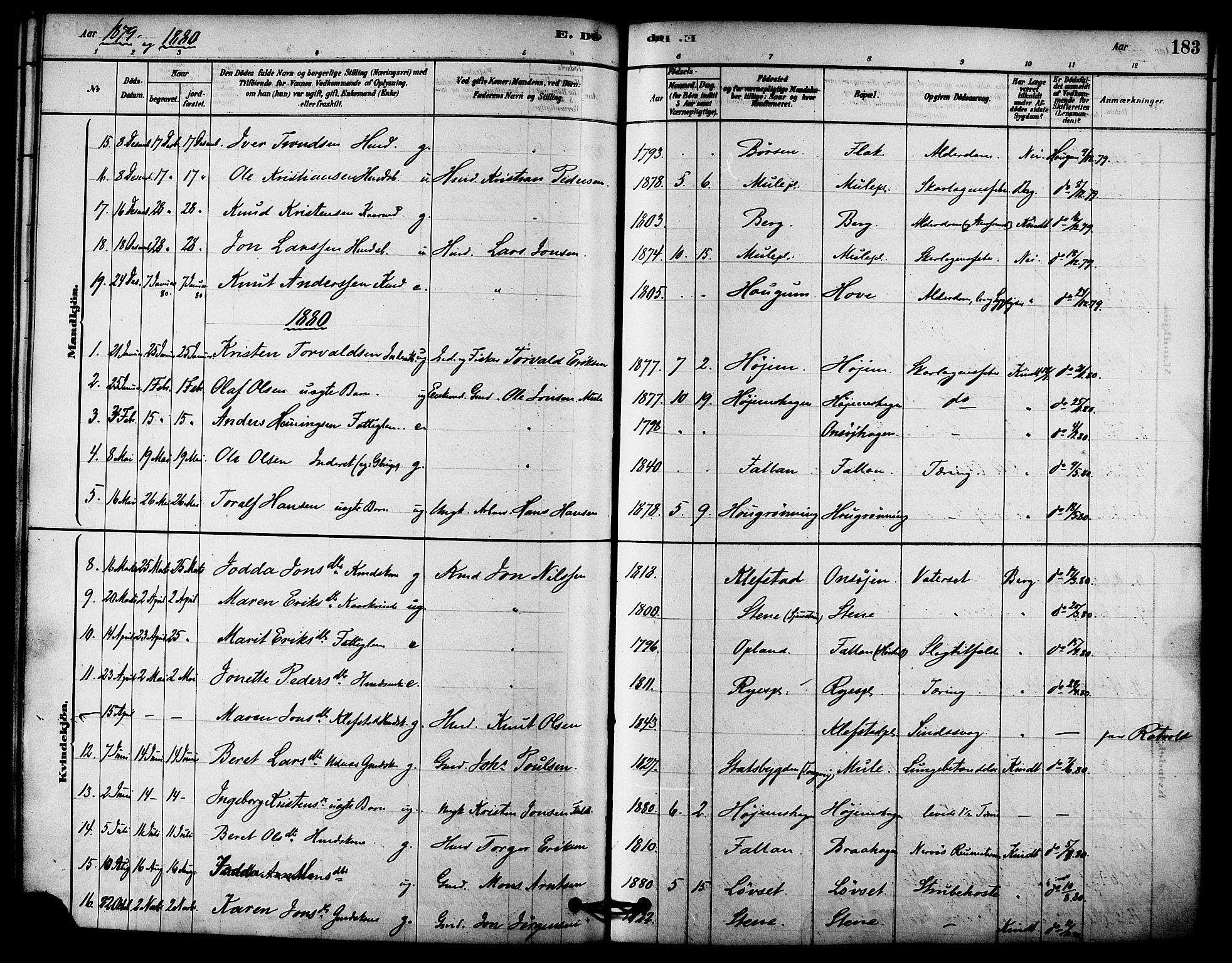 Ministerialprotokoller, klokkerbøker og fødselsregistre - Sør-Trøndelag, AV/SAT-A-1456/612/L0378: Parish register (official) no. 612A10, 1878-1897, p. 183