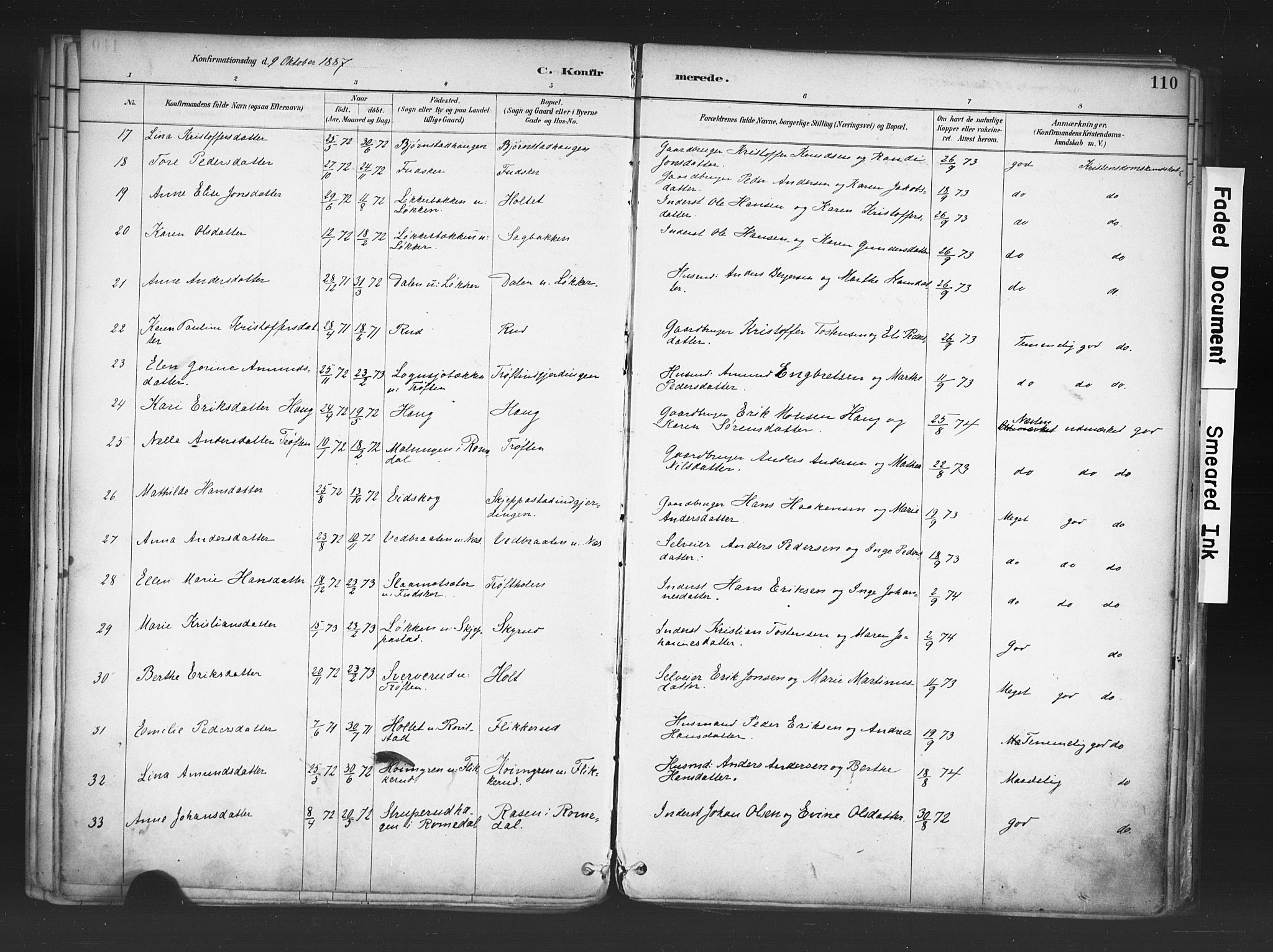 Nord-Odal prestekontor, AV/SAH-PREST-032/H/Ha/Haa/L0006: Parish register (official) no. 6, 1886-1901, p. 110