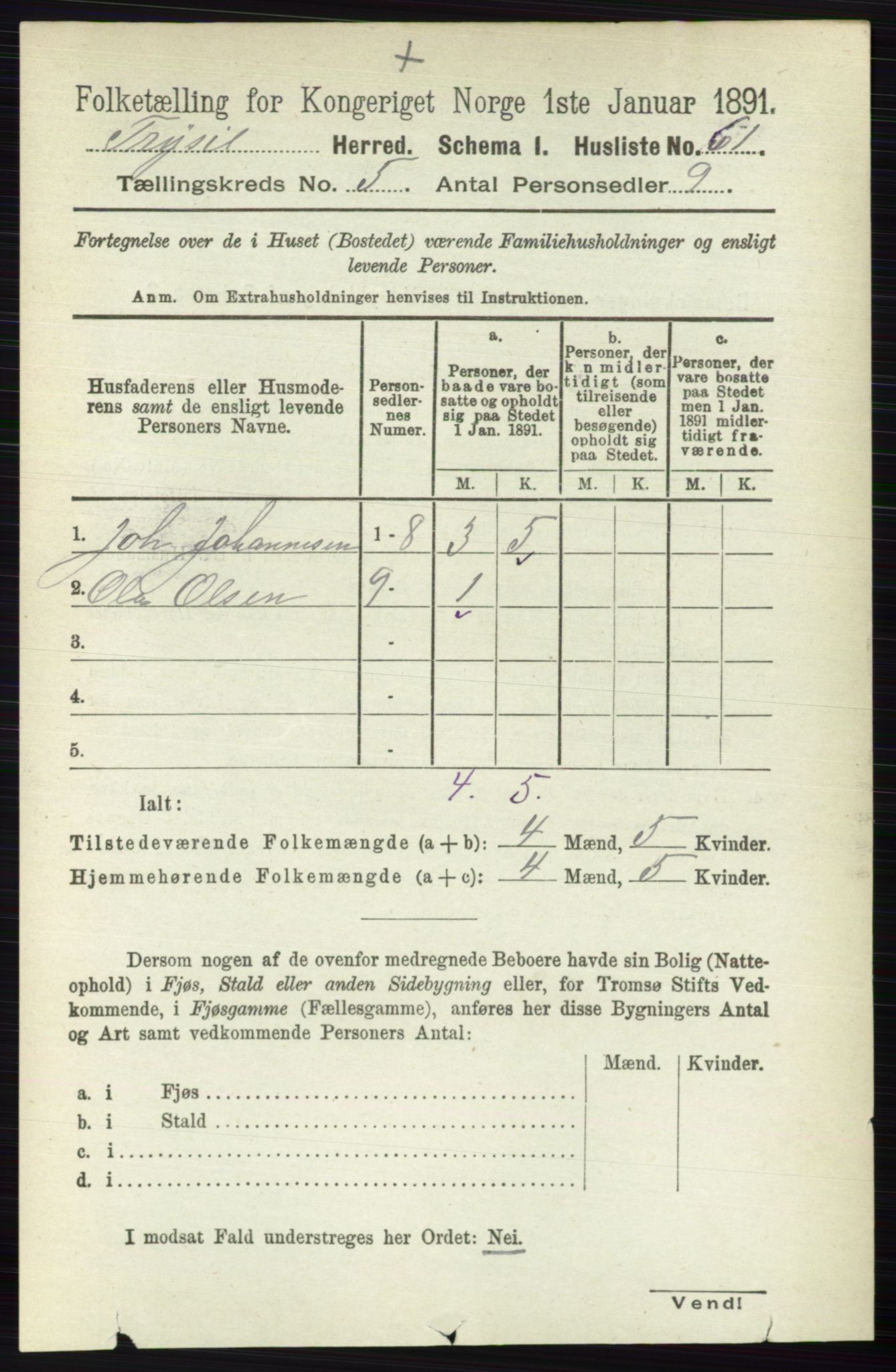 RA, 1891 census for 0428 Trysil, 1891, p. 2295