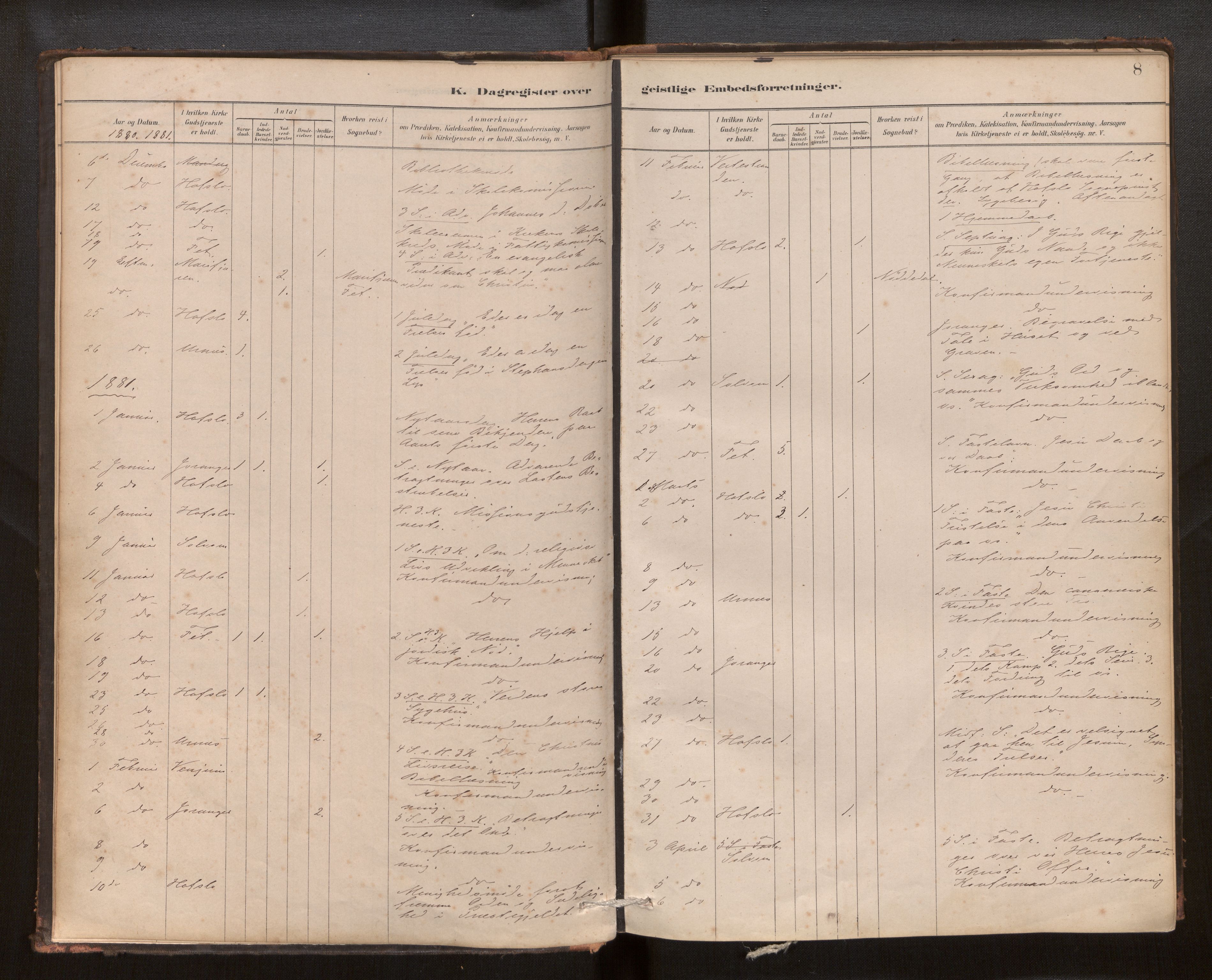 Hafslo sokneprestembete, SAB/A-80301/H/Haa/Haaf/L0003: Diary records no. F 3, 1879-1909, p. 8