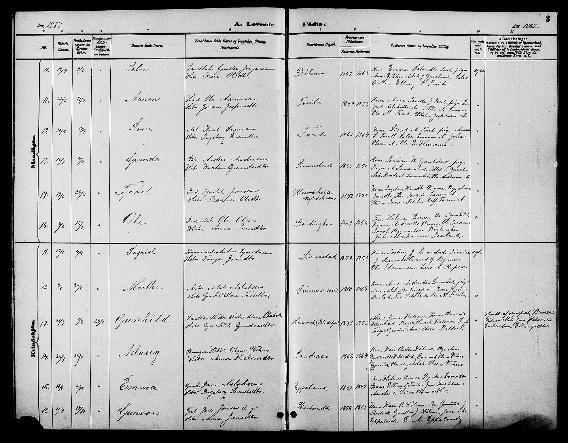 Åmli sokneprestkontor, SAK/1111-0050/F/Fb/Fbc/L0004: Parish register (copy) no. B 4, 1889-1902, p. 3