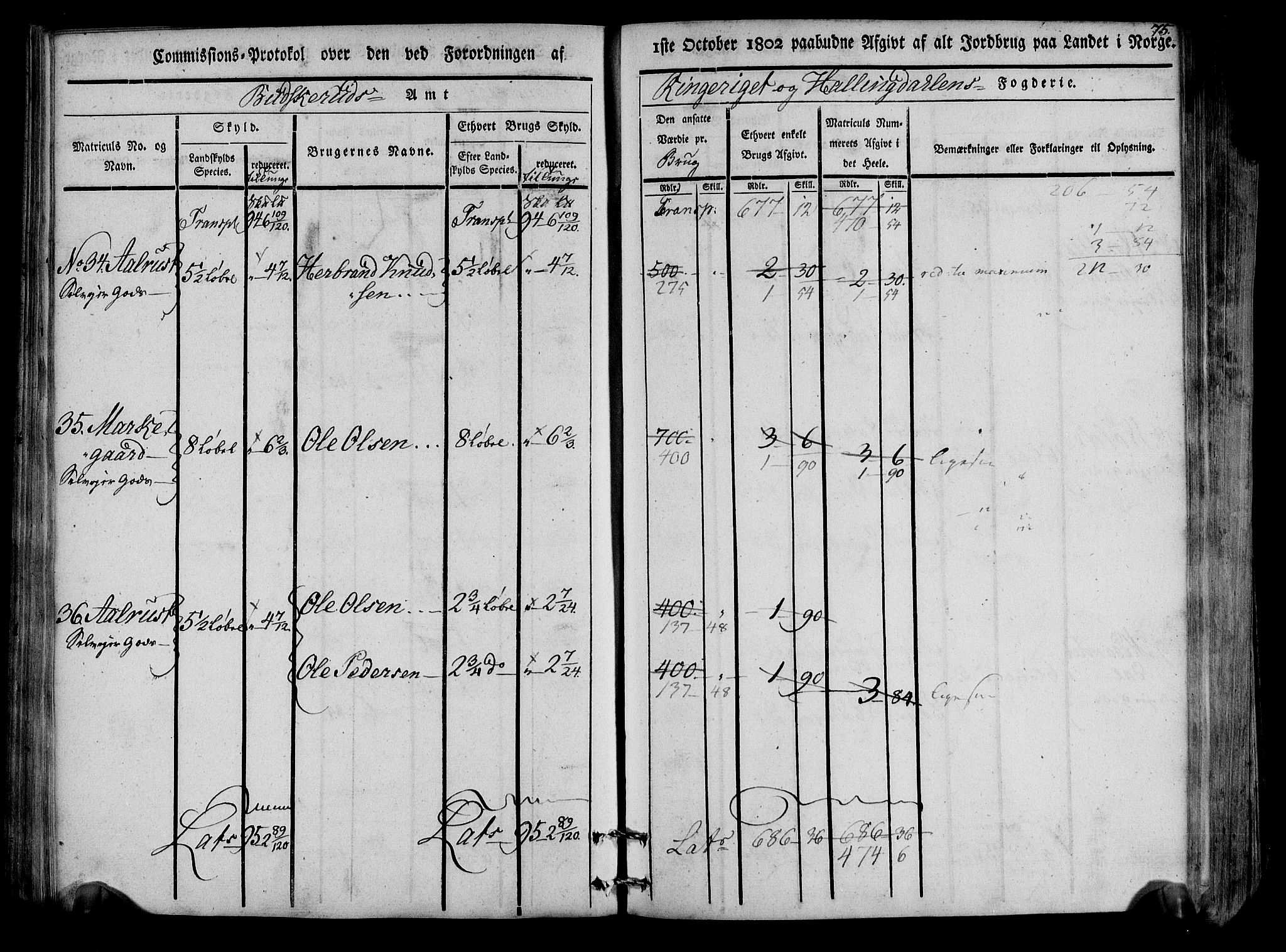 Rentekammeret inntil 1814, Realistisk ordnet avdeling, AV/RA-EA-4070/N/Ne/Nea/L0047: Ringerike og Hallingdal fogderi. Kommisjonsprotokoll for Nes prestegjeld, 1803, p. 78