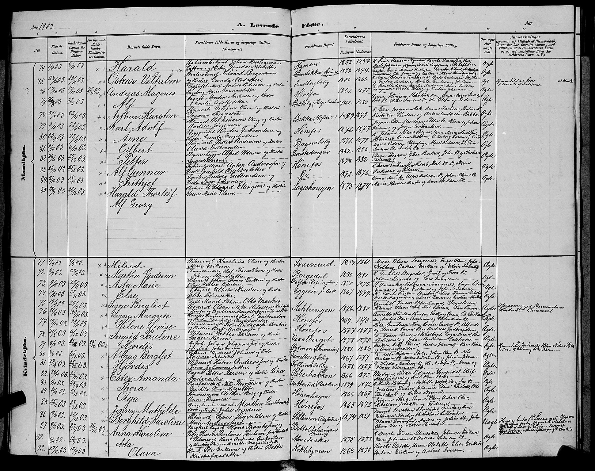 Hønefoss kirkebøker, SAKO/A-609/G/Ga/L0002: Parish register (copy) no. 2, 1888-1904