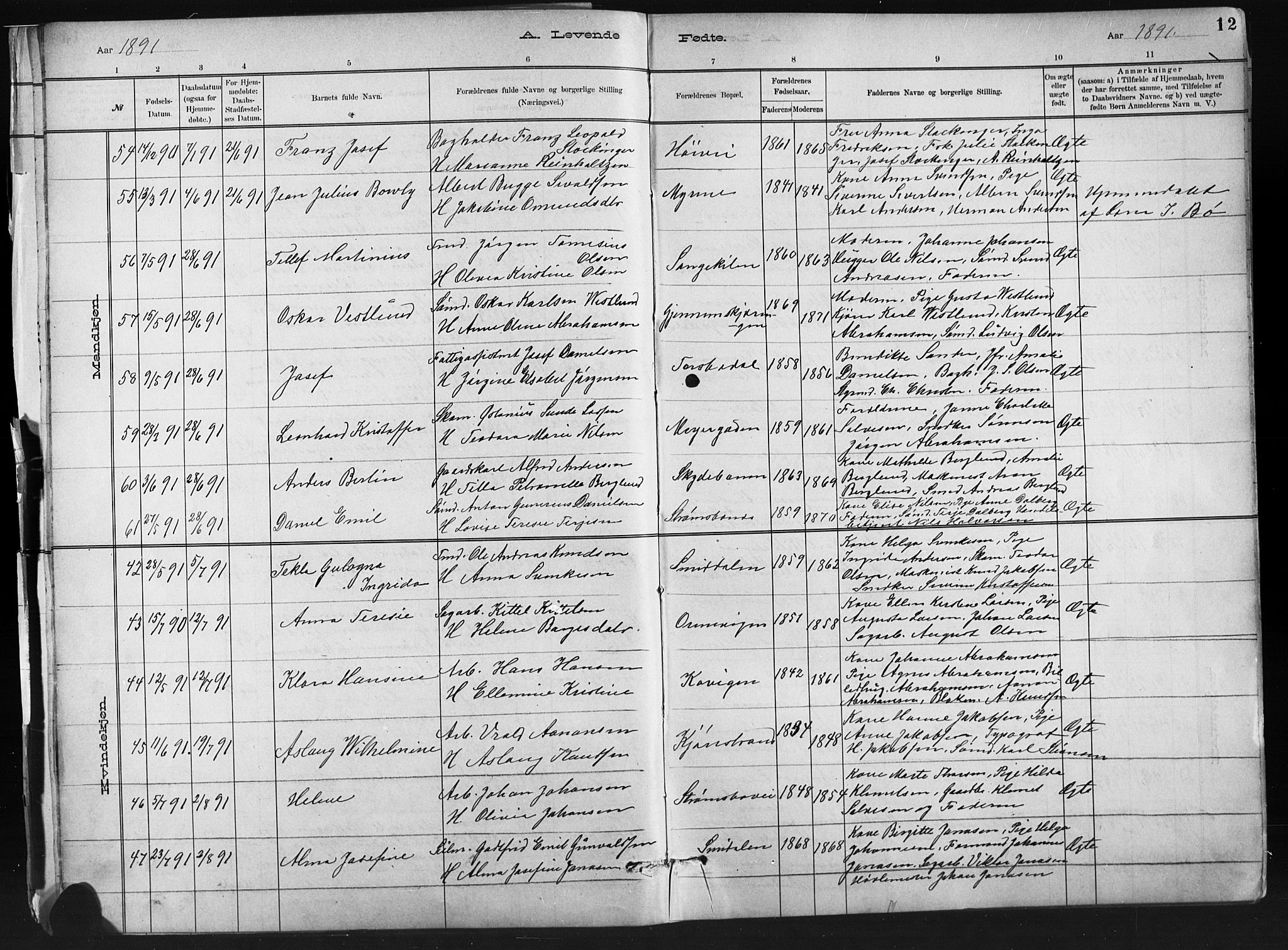 Barbu sokneprestkontor, AV/SAK-1111-0003/F/Fb/L0002: Parish register (copy) no. B 2, 1890-1922, p. 12