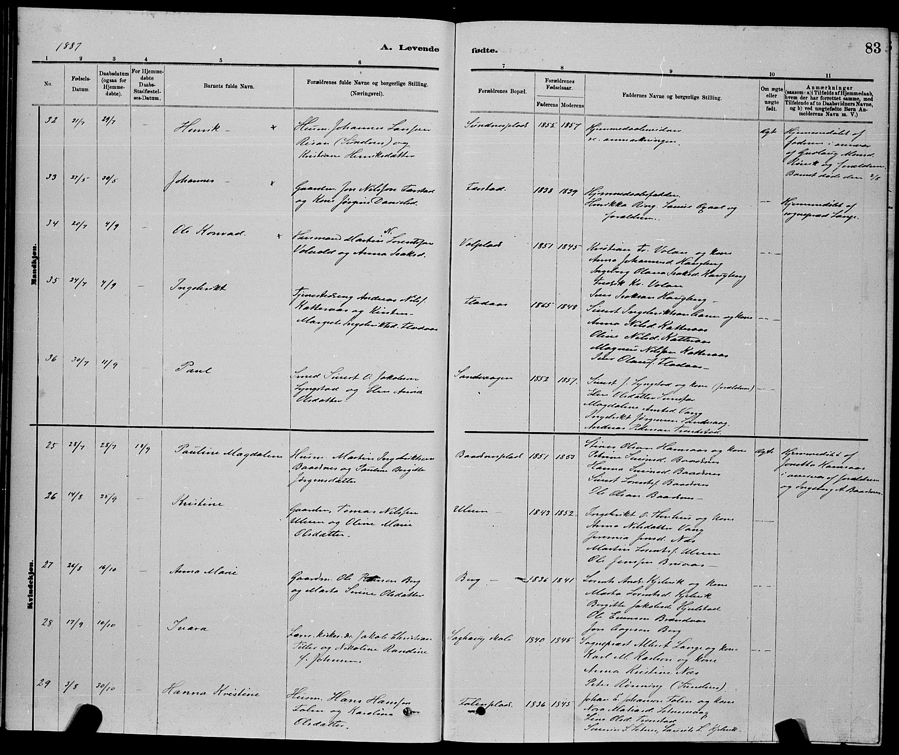 Ministerialprotokoller, klokkerbøker og fødselsregistre - Nord-Trøndelag, AV/SAT-A-1458/730/L0301: Parish register (copy) no. 730C04, 1880-1897, p. 83