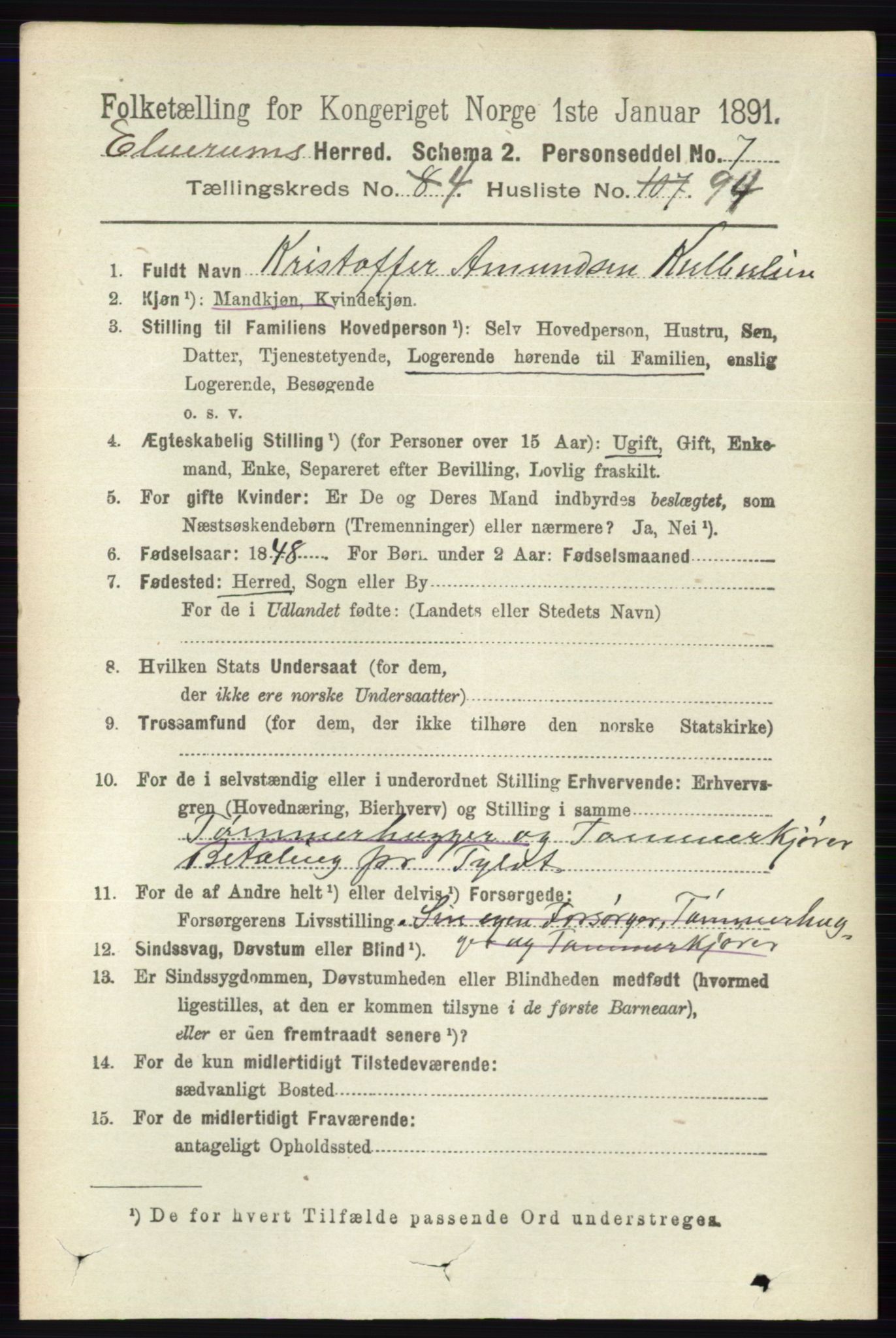 RA, 1891 census for 0427 Elverum, 1891, p. 2920