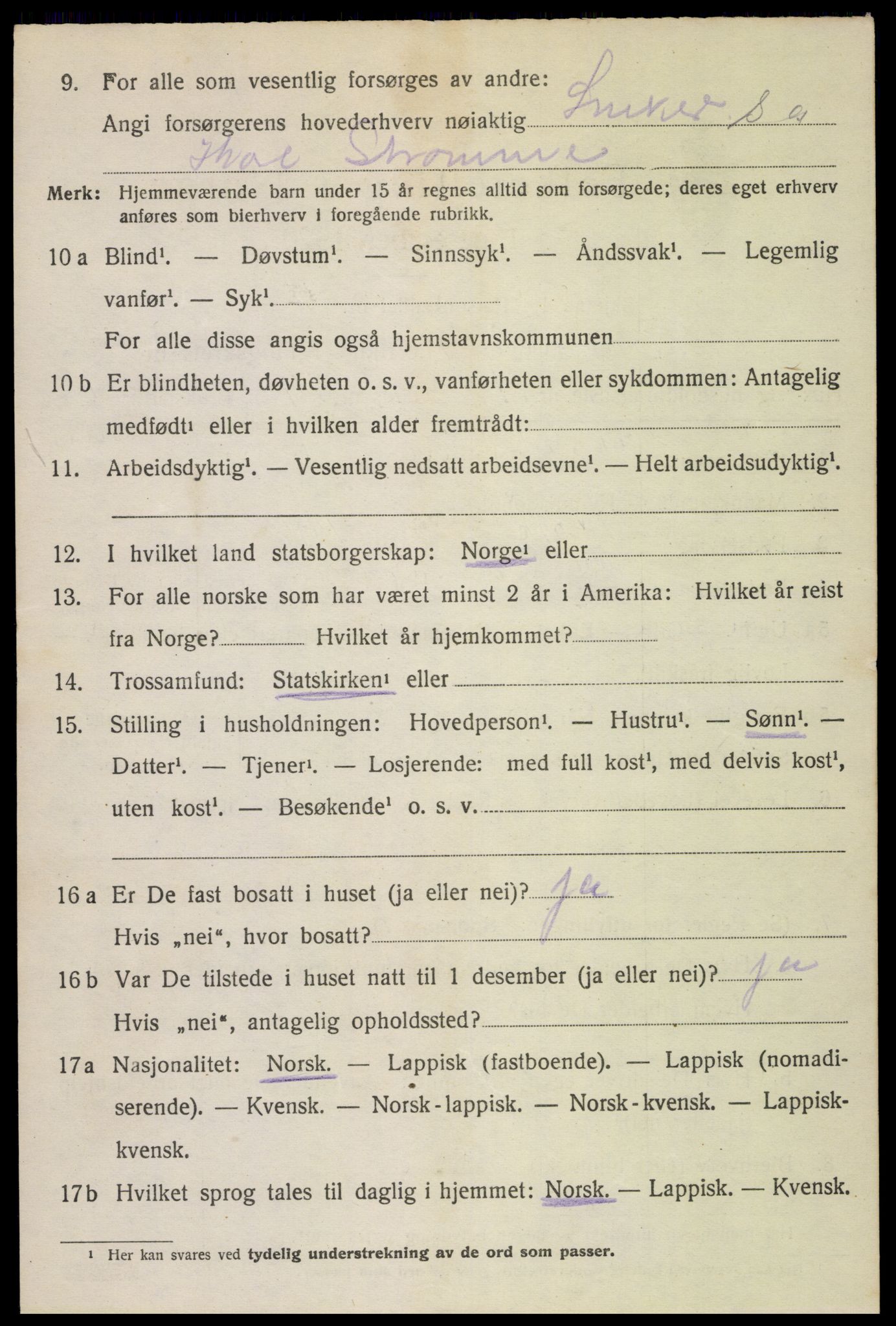 SAT, 1920 census for Bø, 1920, p. 4337