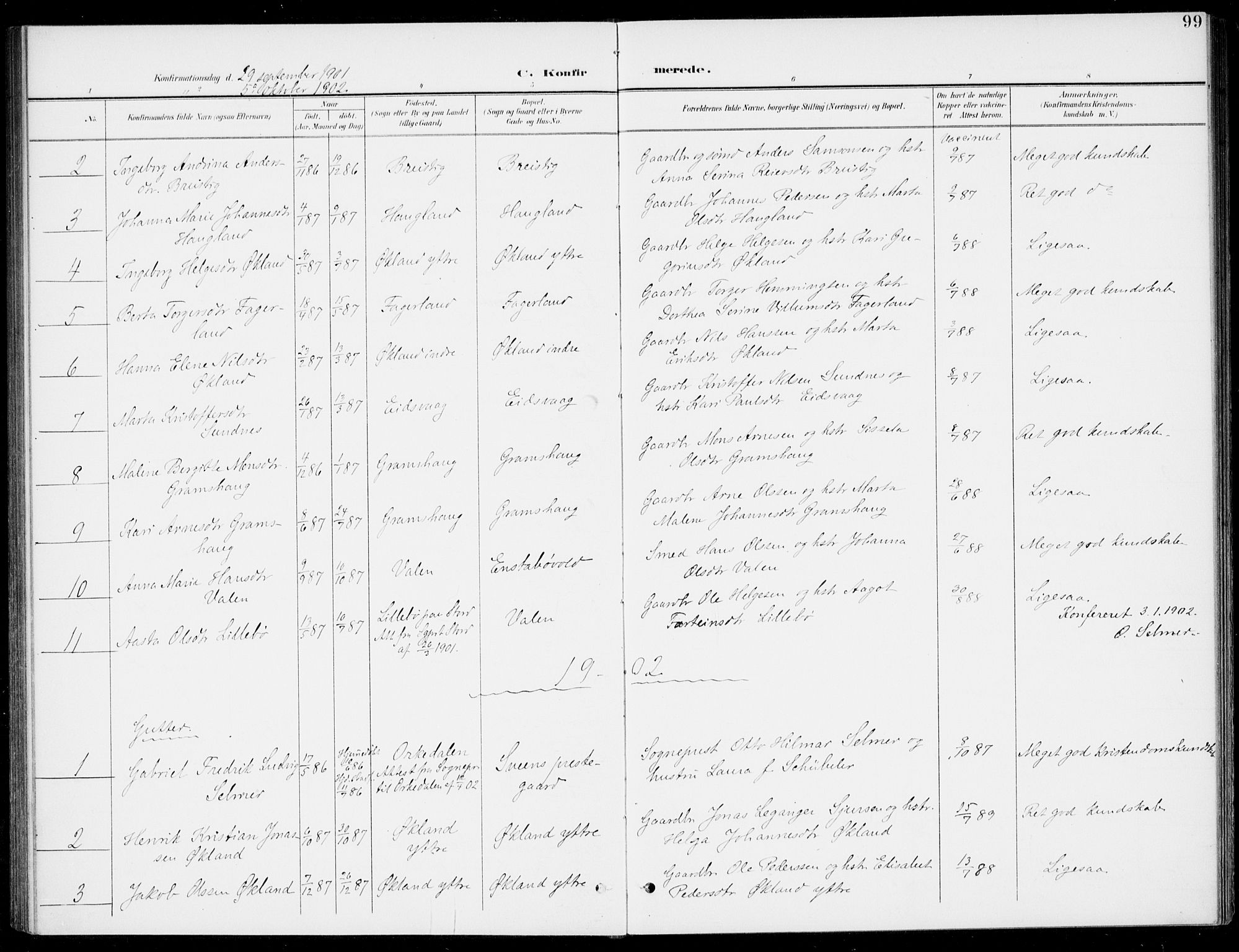 Sveio Sokneprestembete, SAB/A-78501/H/Haa: Parish register (official) no. C 3, 1899-1916, p. 99