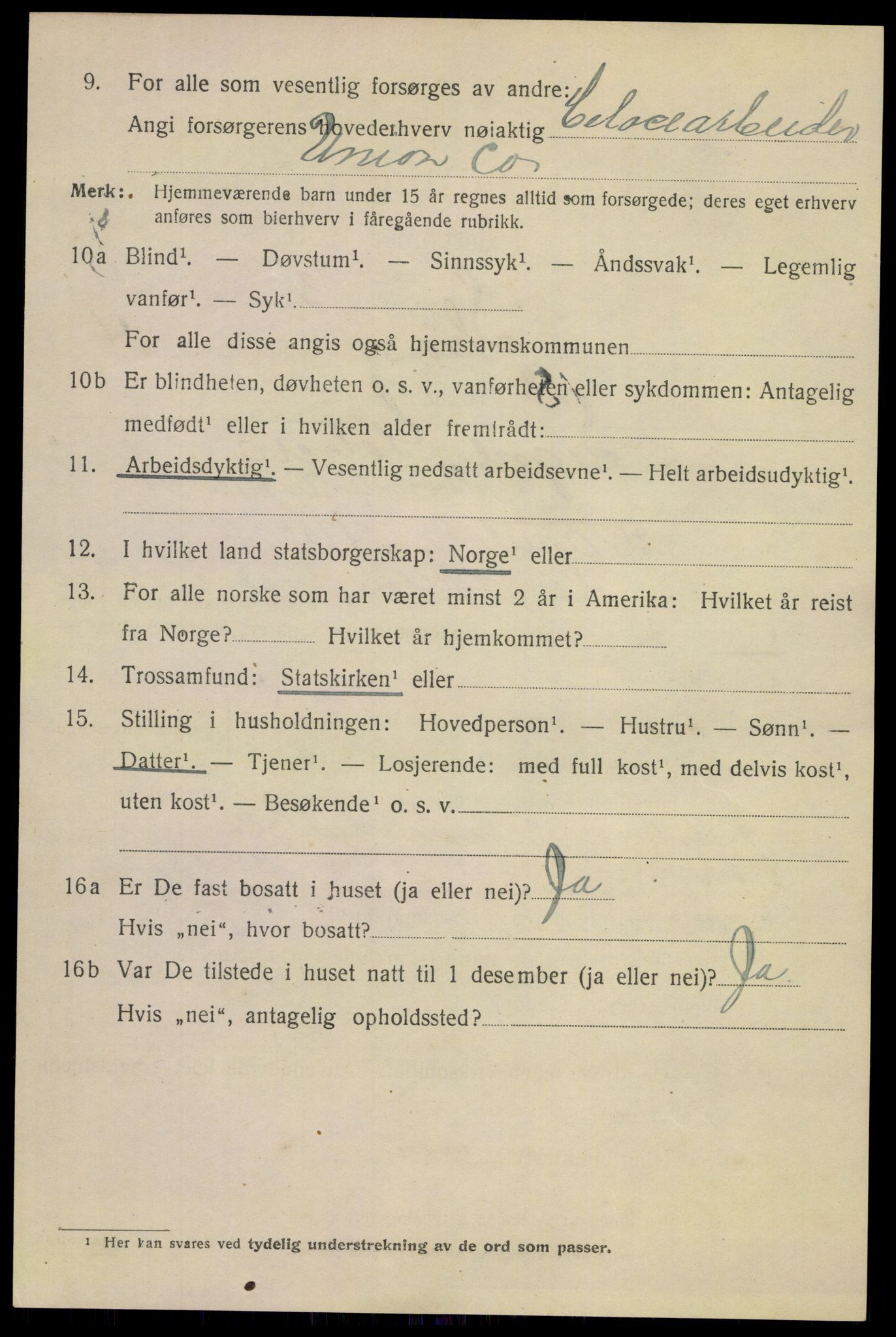 SAKO, 1920 census for Skien, 1920, p. 16931