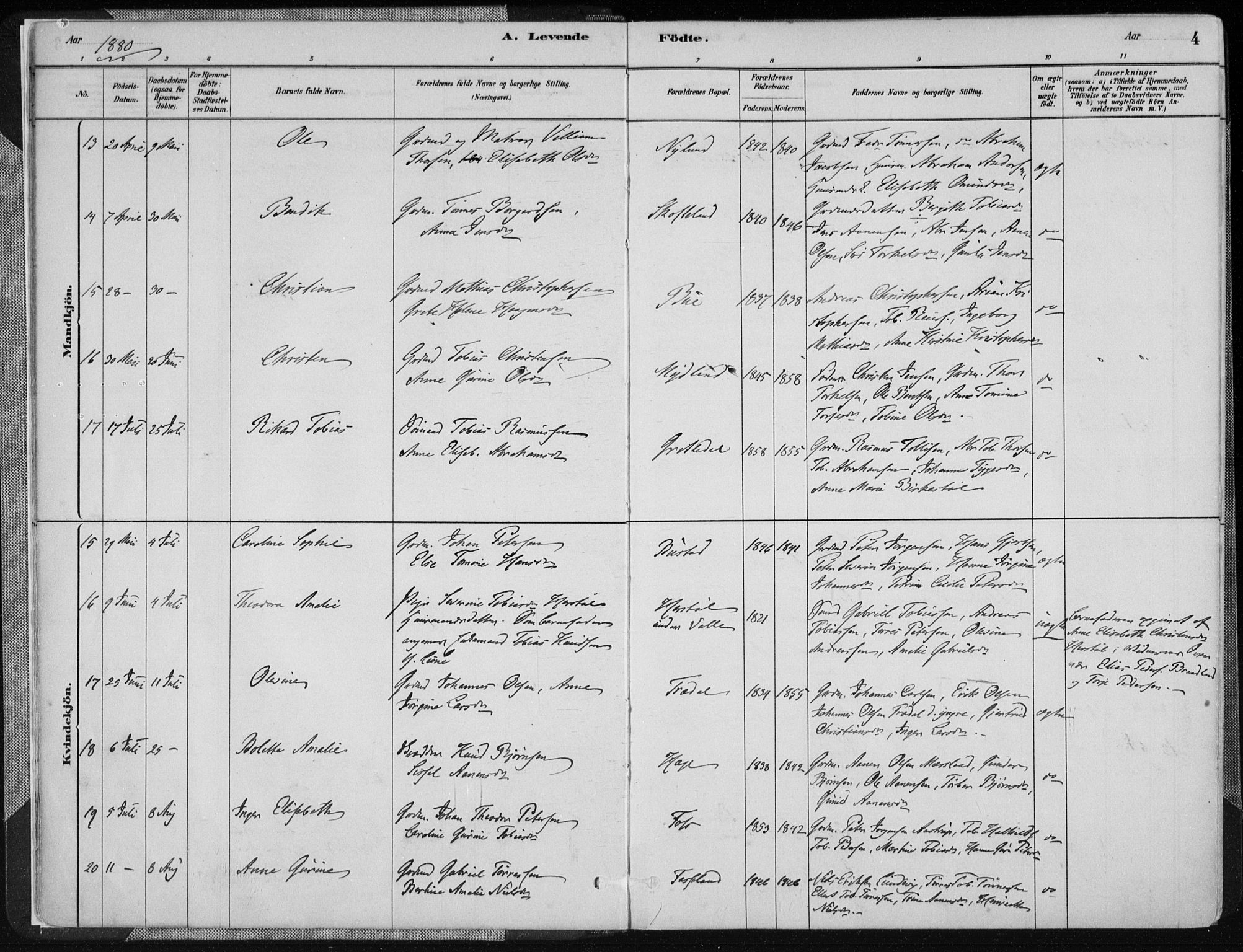 Sør-Audnedal sokneprestkontor, AV/SAK-1111-0039/F/Fa/Fab/L0009: Parish register (official) no. A 9, 1880-1895, p. 4