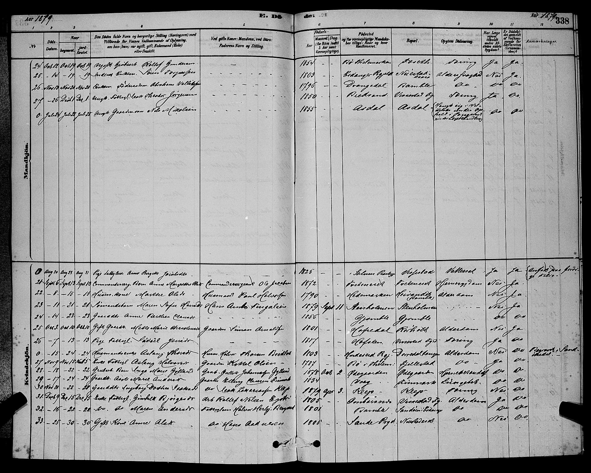 Bamble kirkebøker, AV/SAKO-A-253/G/Ga/L0008: Parish register (copy) no. I 8, 1878-1888, p. 338