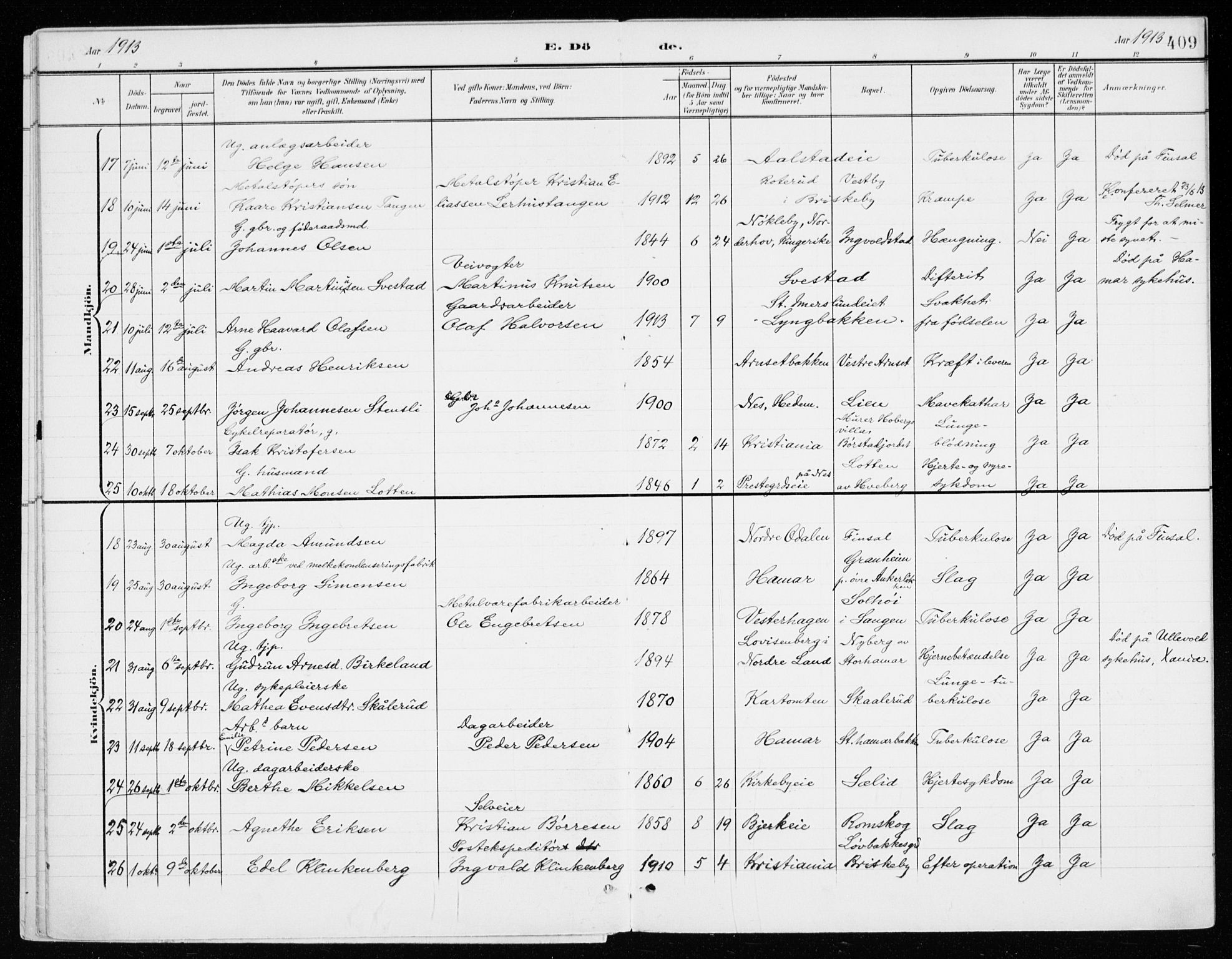 Vang prestekontor, Hedmark, AV/SAH-PREST-008/H/Ha/Haa/L0021: Parish register (official) no. 21, 1902-1917, p. 409