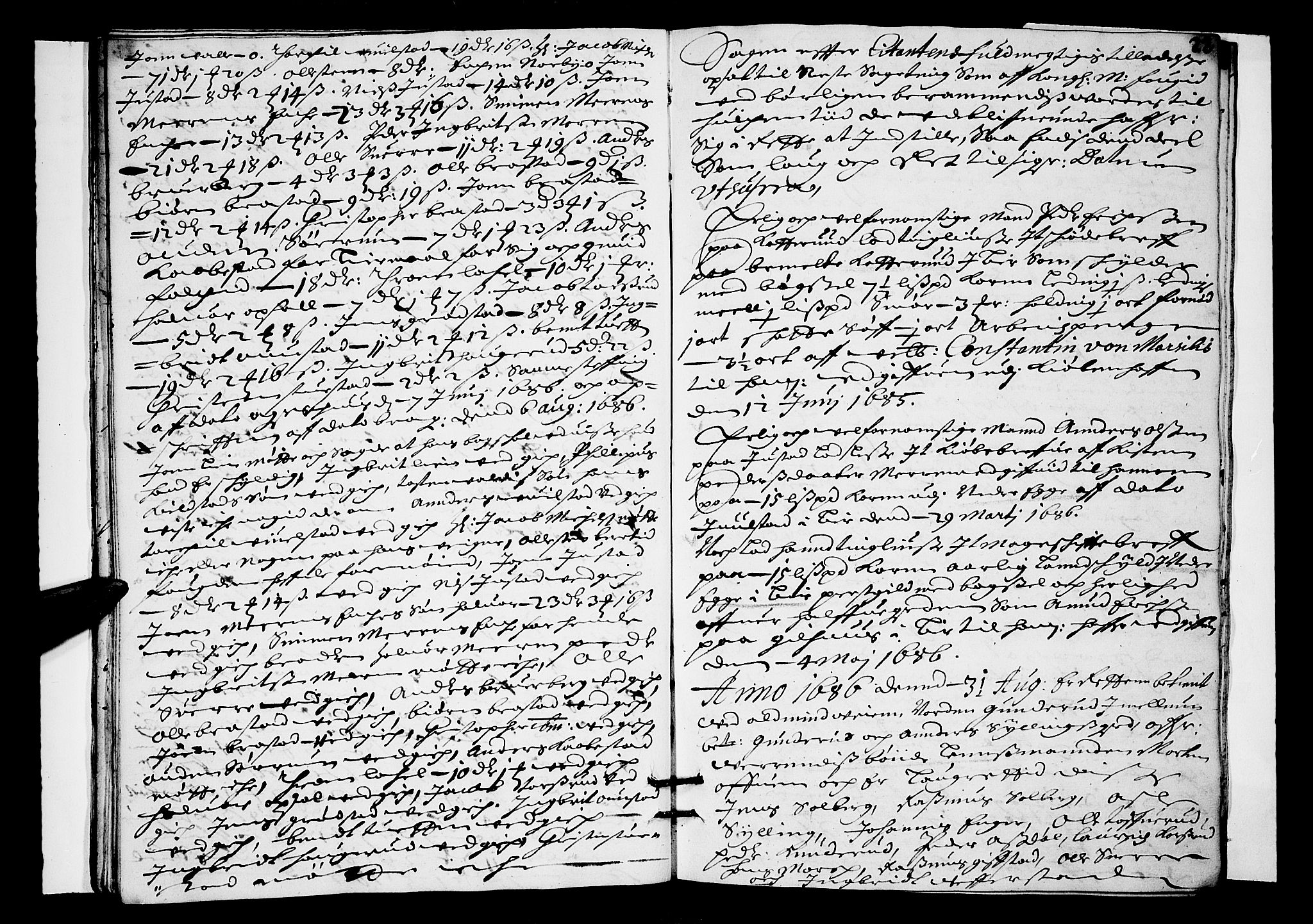 Lier, Røyken og Hurum sorenskriveri, AV/SAKO-A-89/F/Fa/L0027: Tingbok, 1686, p. 22