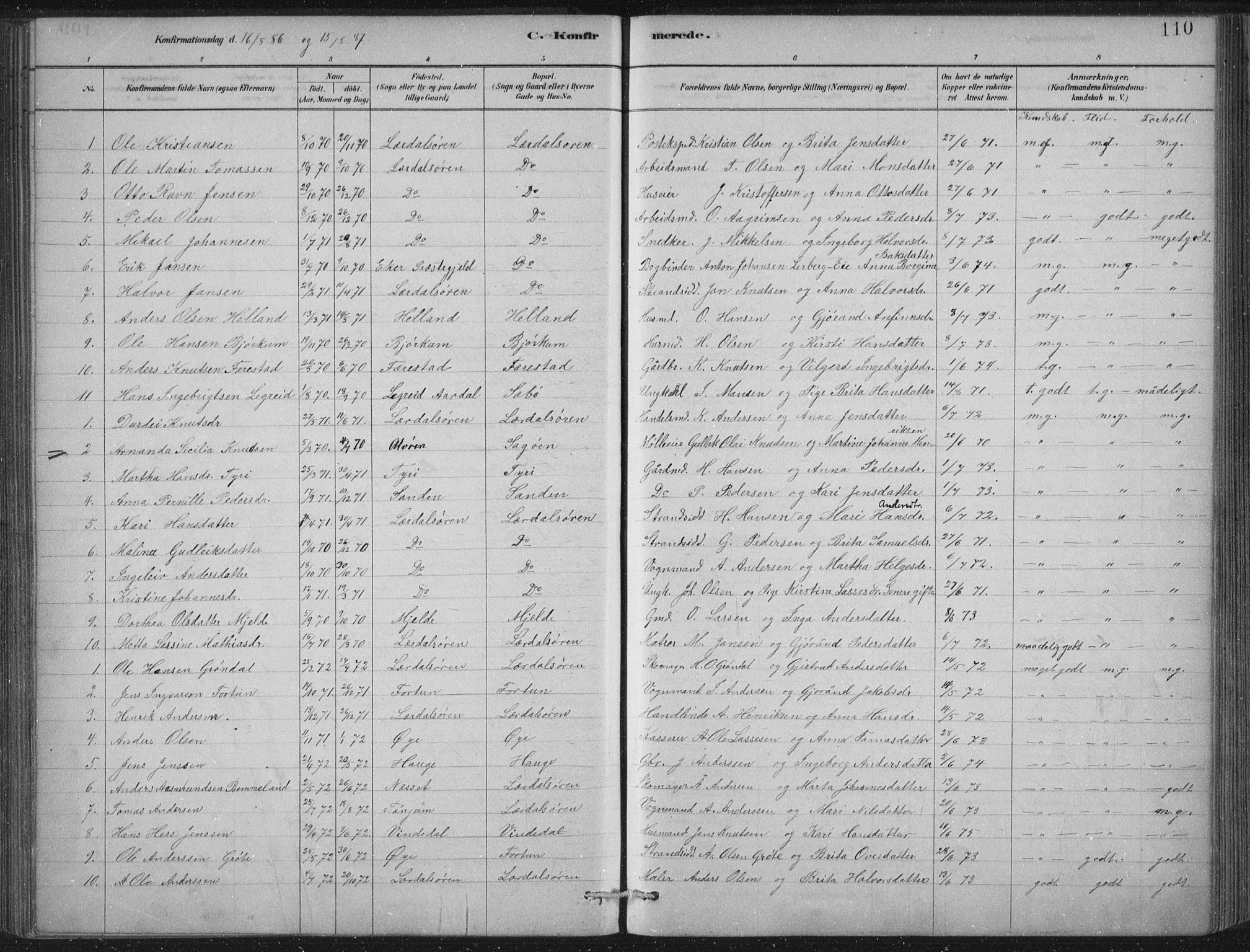 Lærdal sokneprestembete, SAB/A-81201: Parish register (official) no. D  1, 1878-1908, p. 110