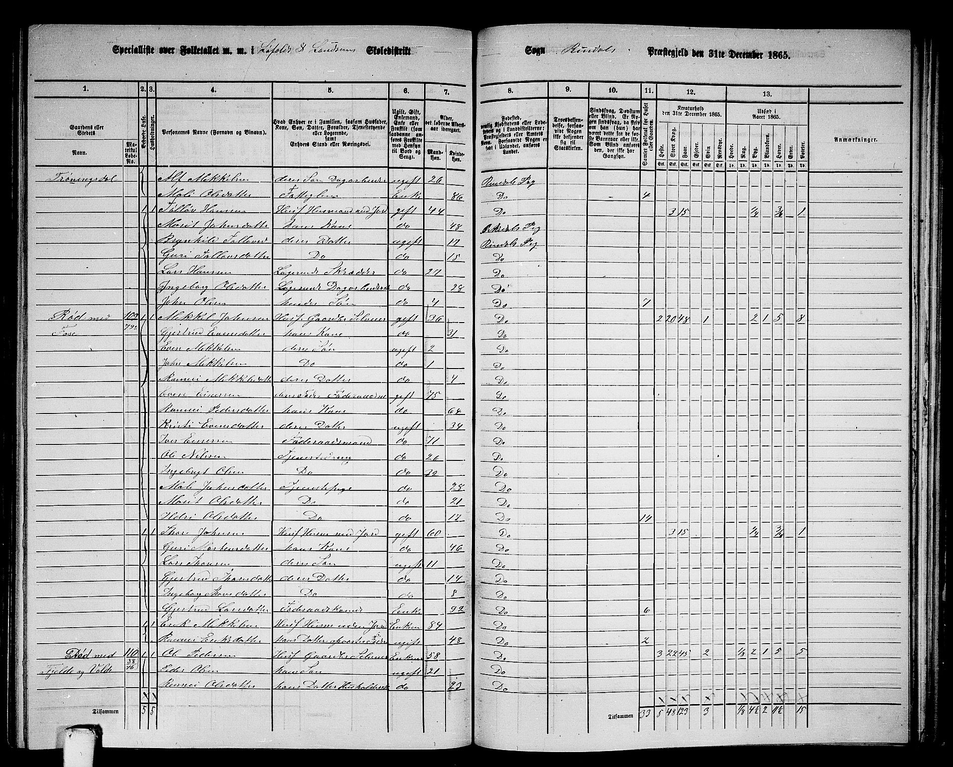 RA, 1865 census for Rindal, 1865, p. 58