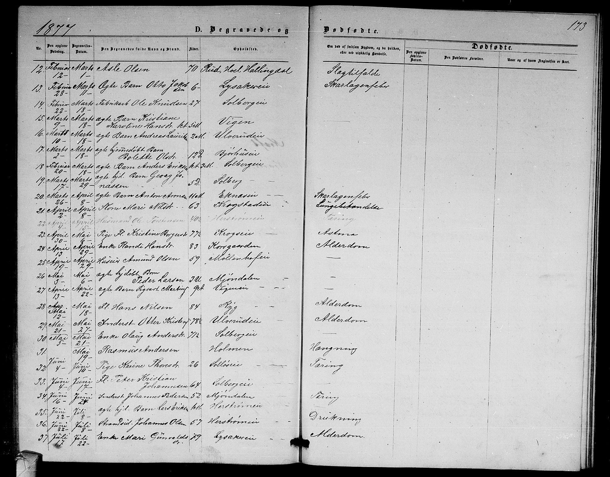 Nedre Eiker kirkebøker, AV/SAKO-A-612/G/Ga/L0001: Parish register (copy) no. 1, 1873-1880, p. 173