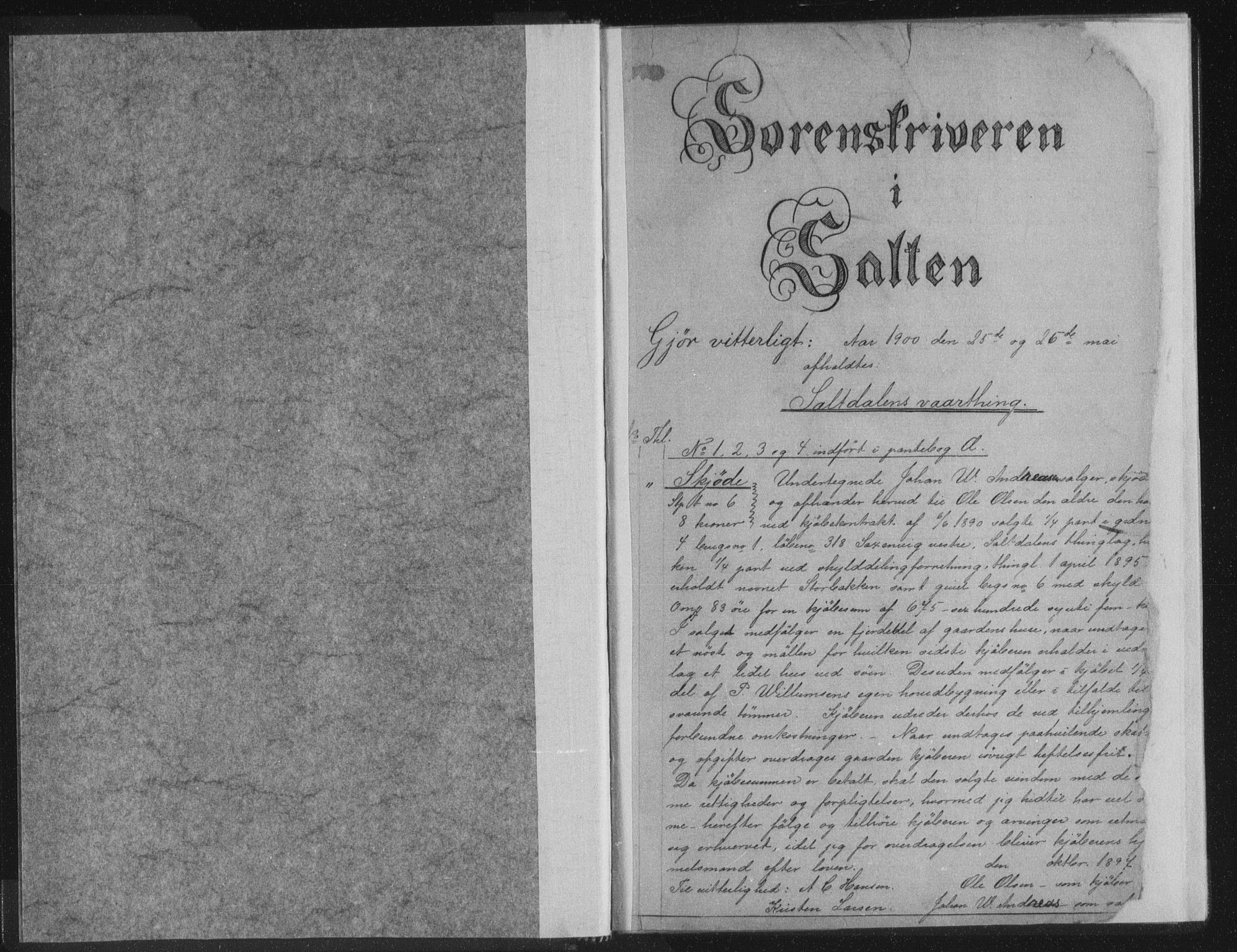 Salten sorenskriveri, SAT/A-4578/1/2/2C/L0031: Mortgage book no. ØI, 1900-1901, p. 1