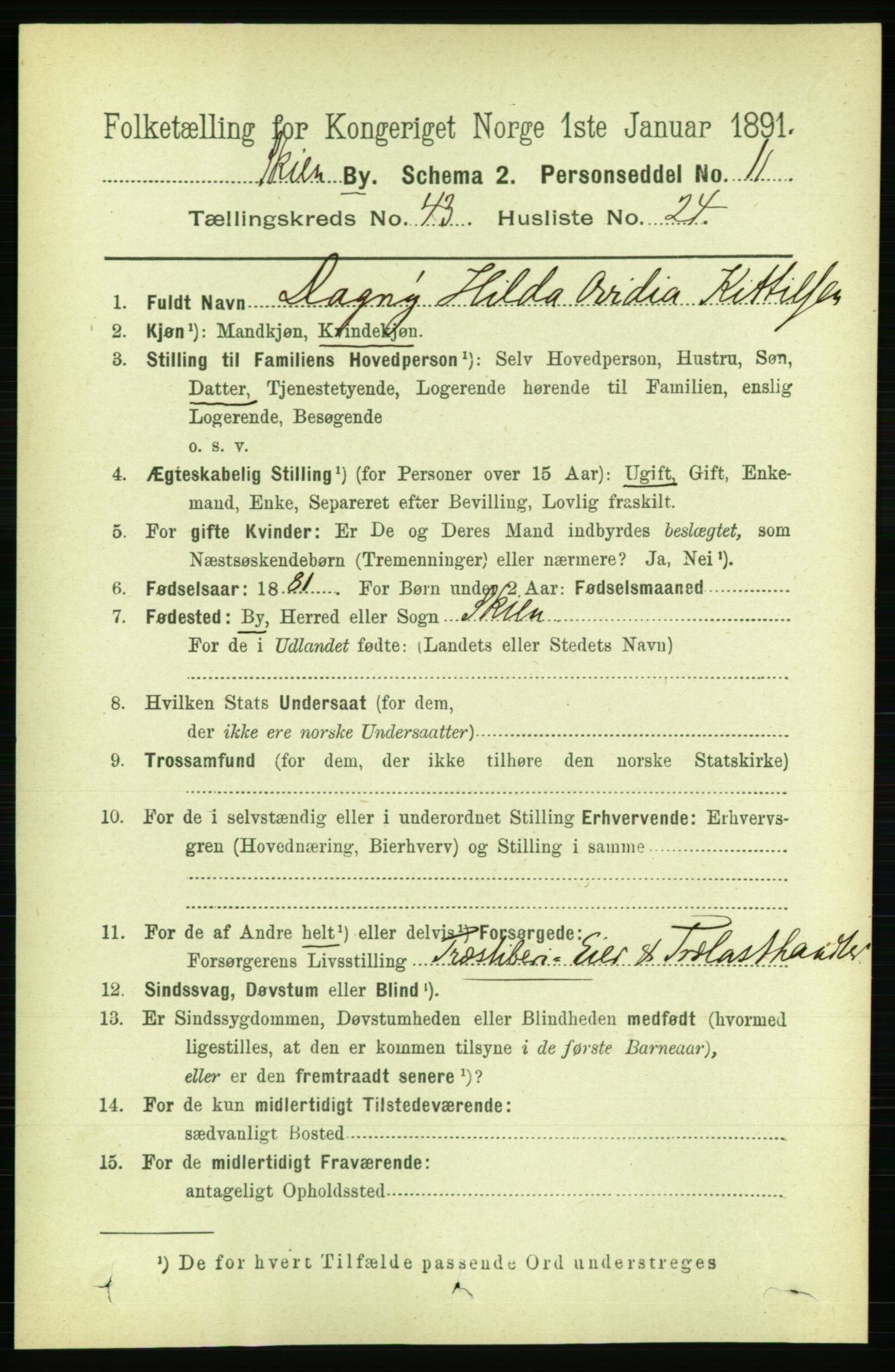 RA, 1891 census for 0806 Skien, 1891, p. 8757