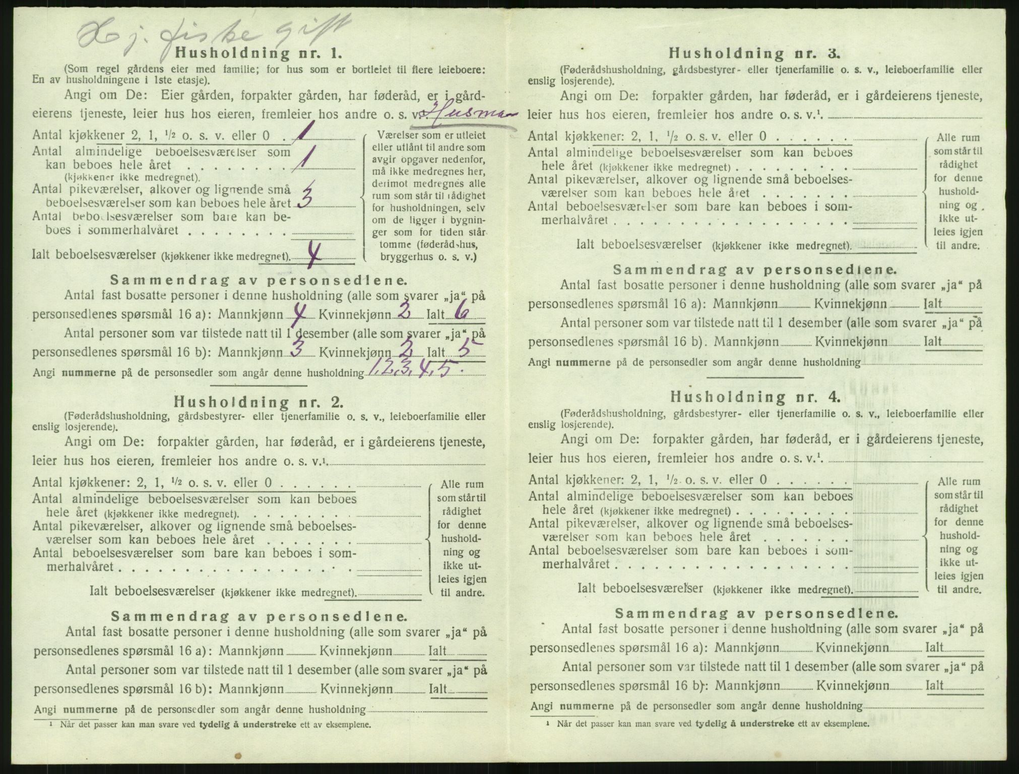 SAT, 1920 census for Borge, 1920, p. 572