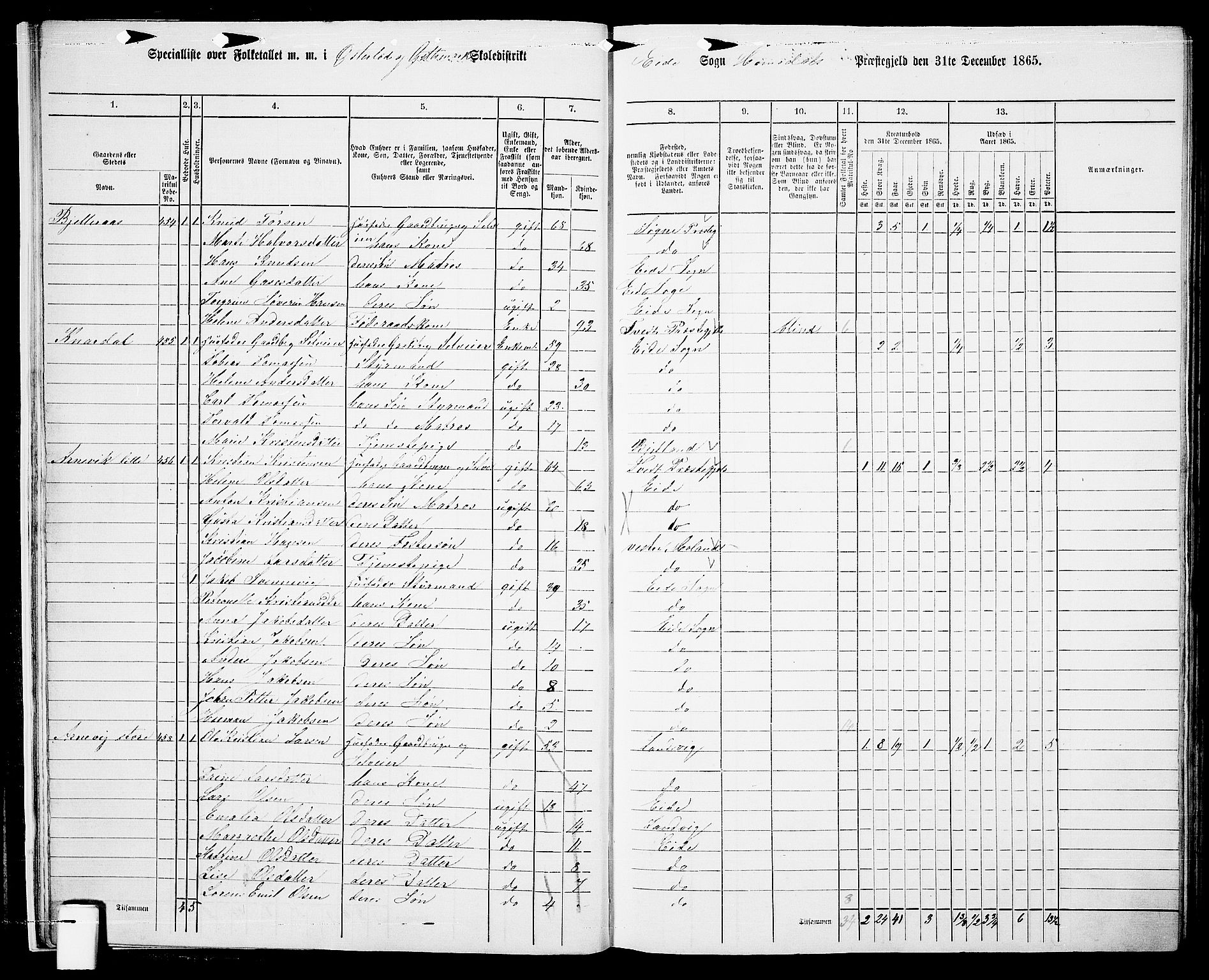 RA, 1865 census for Homedal, 1865, p. 17