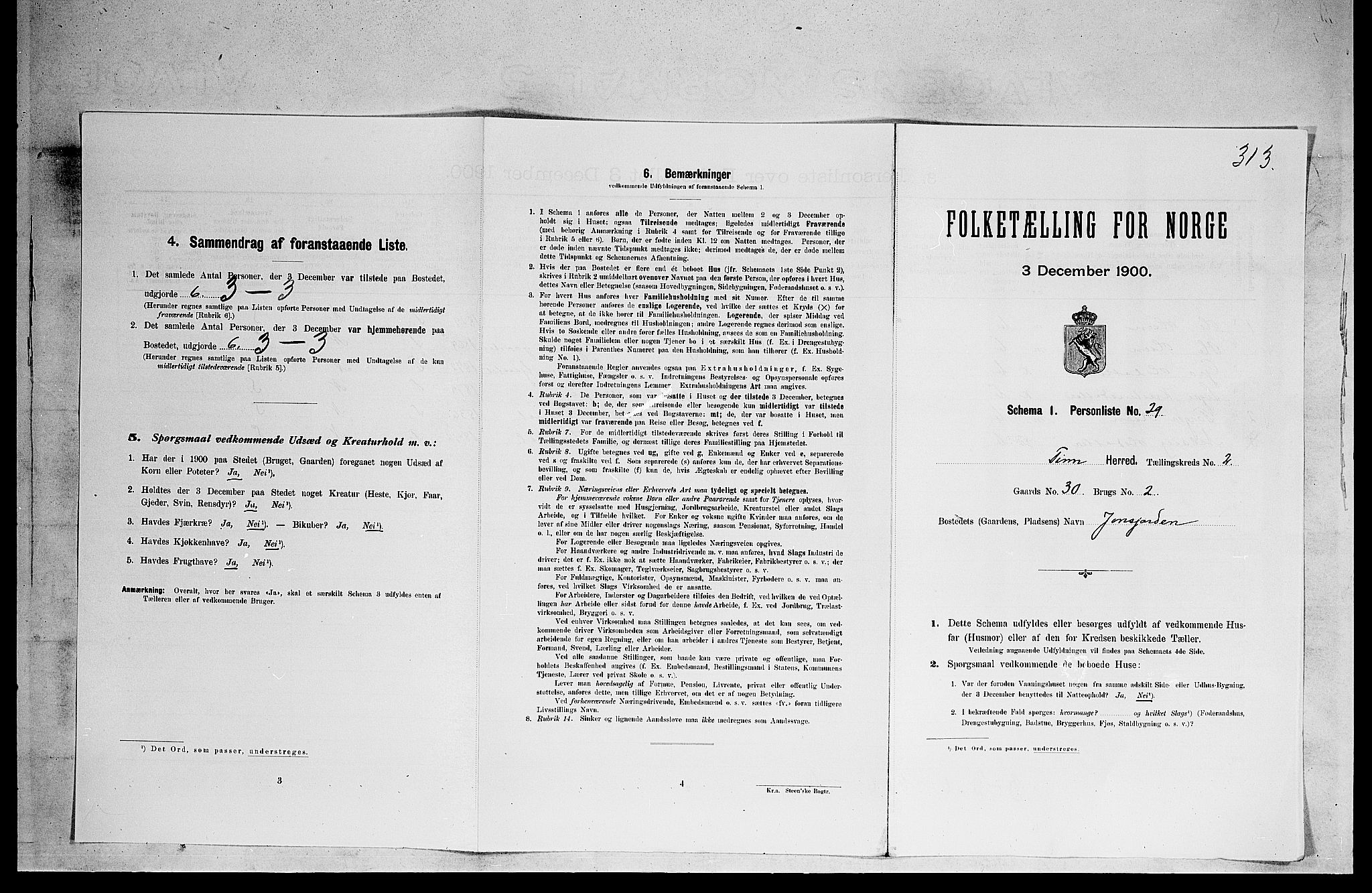 SAKO, 1900 census for Tinn, 1900, p. 229