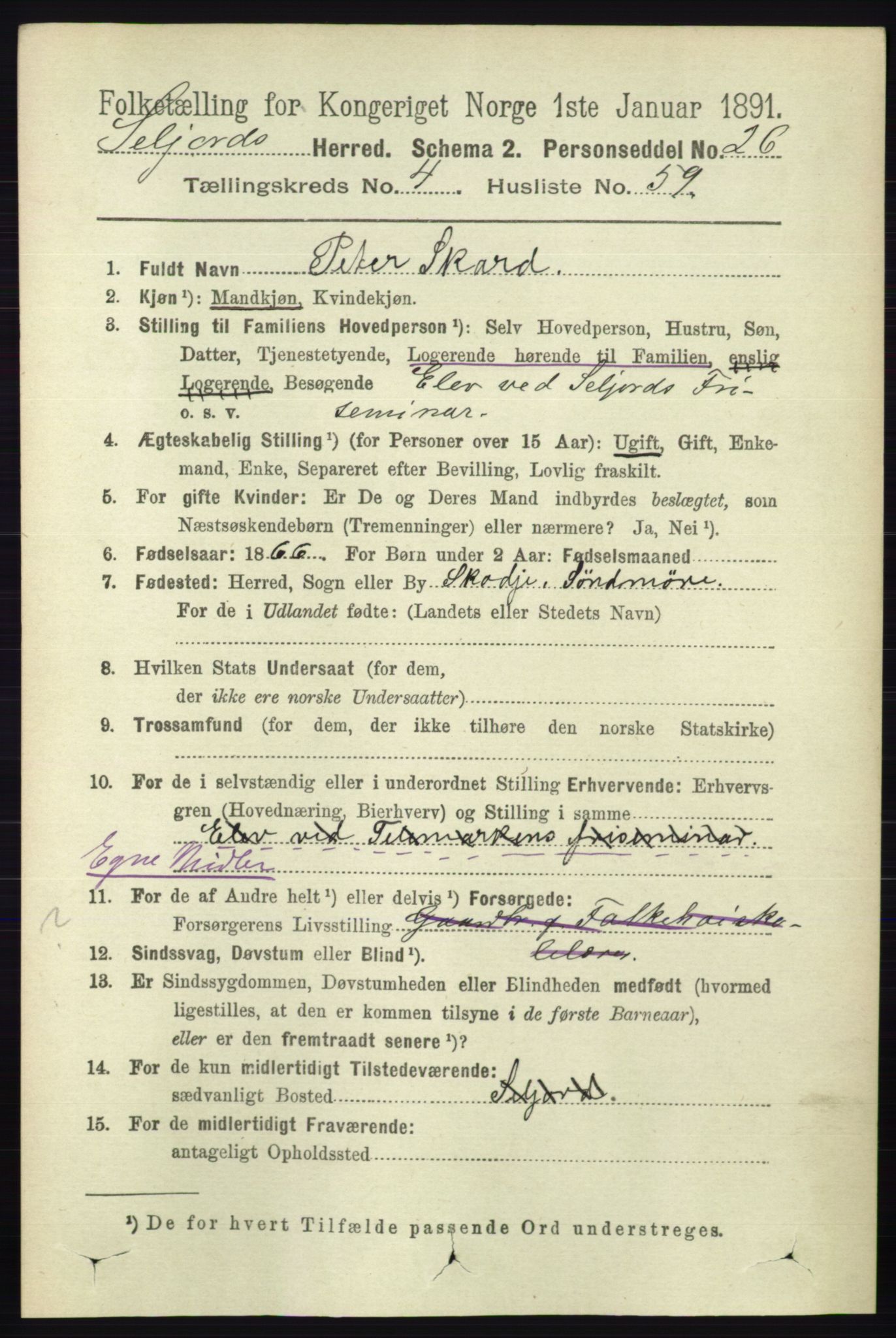RA, 1891 census for 0828 Seljord, 1891, p. 1647