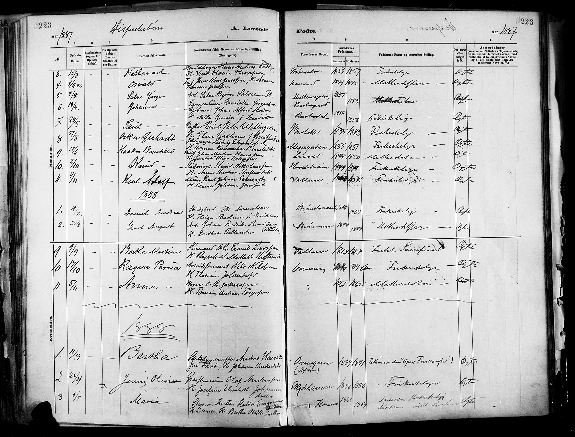 Barbu sokneprestkontor, SAK/1111-0003/F/Fa/L0002: Parish register (official) no. A 2, 1883-1898, p. 223