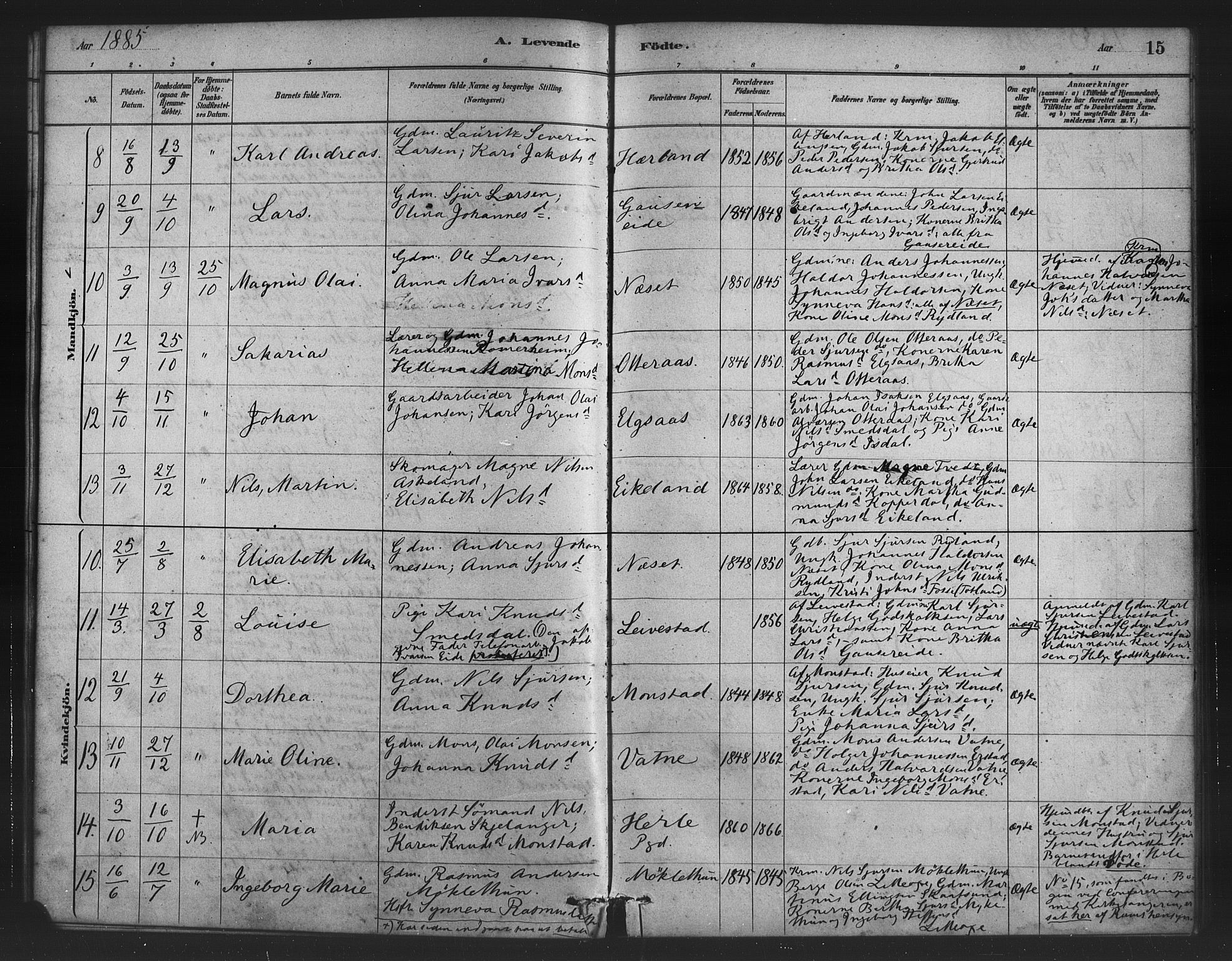 Alversund Sokneprestembete, AV/SAB-A-73901/H/Ha/Haa/Haad/L0001: Parish register (official) no. D 1, 1880-1898, p. 15