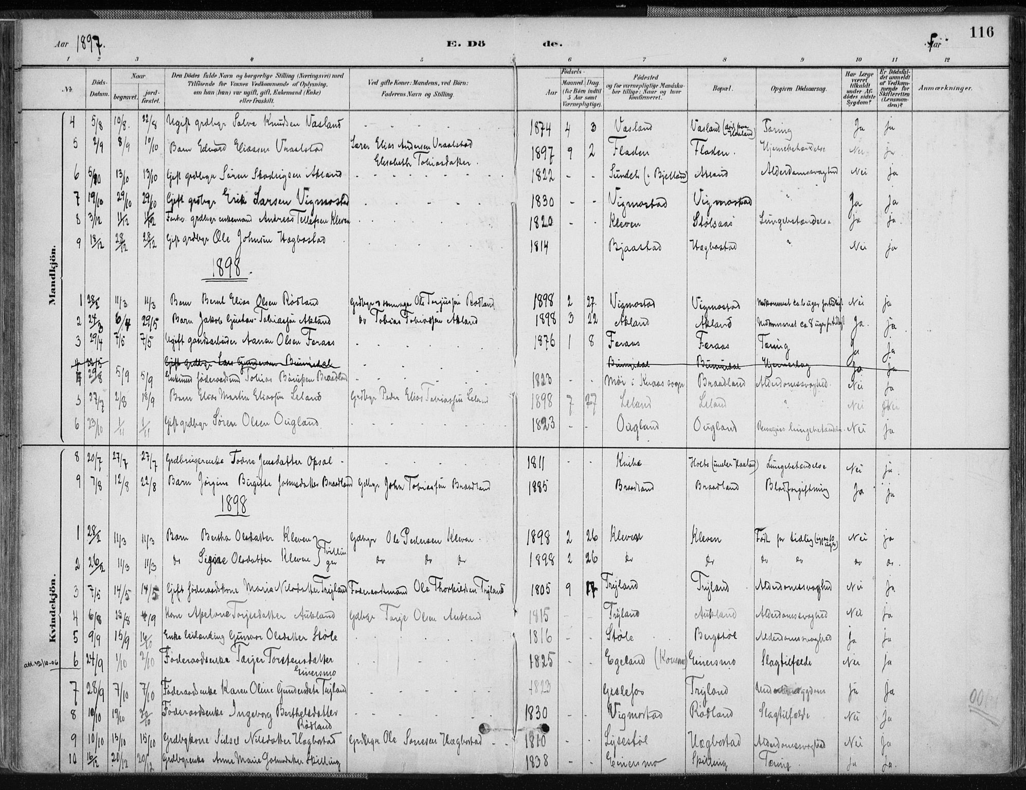 Nord-Audnedal sokneprestkontor, SAK/1111-0032/F/Fa/Fab/L0003: Parish register (official) no. A 3, 1882-1900, p. 116
