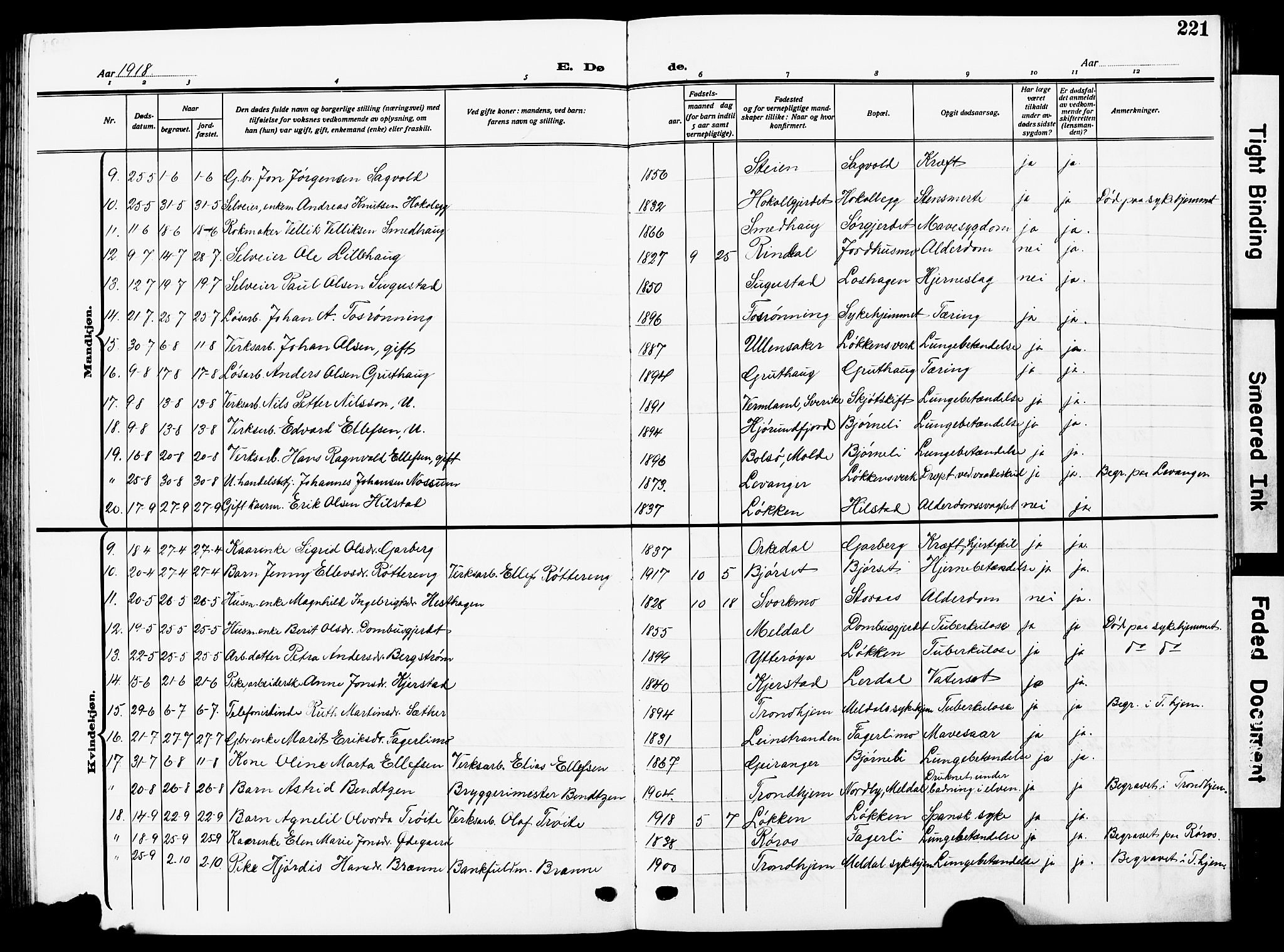 Ministerialprotokoller, klokkerbøker og fødselsregistre - Sør-Trøndelag, SAT/A-1456/672/L0865: Parish register (copy) no. 672C04, 1914-1928, p. 221