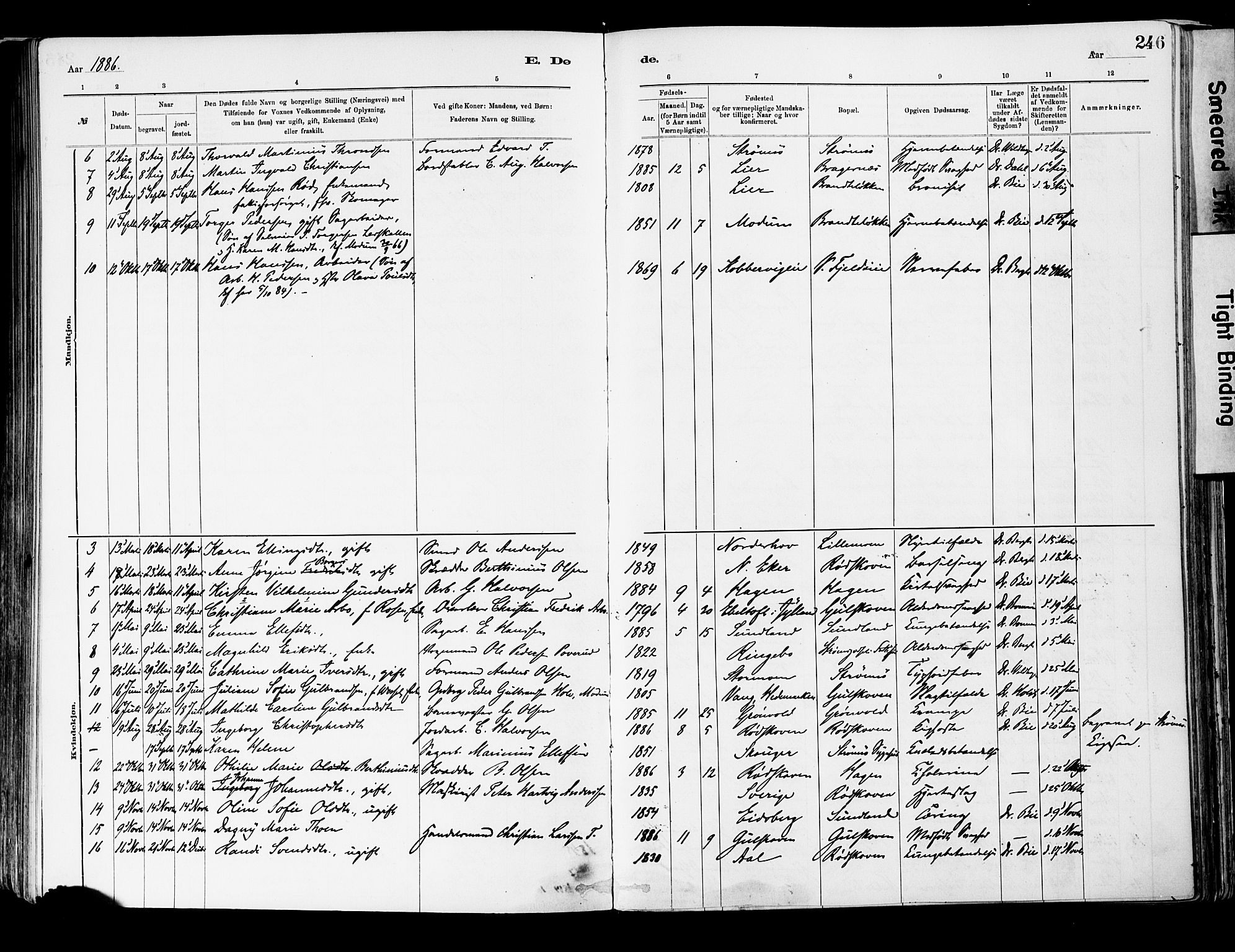 Strømsgodset kirkebøker, SAKO/A-324/F/Fa/L0001: Parish register (official) no. 1, 1885-1909, p. 246