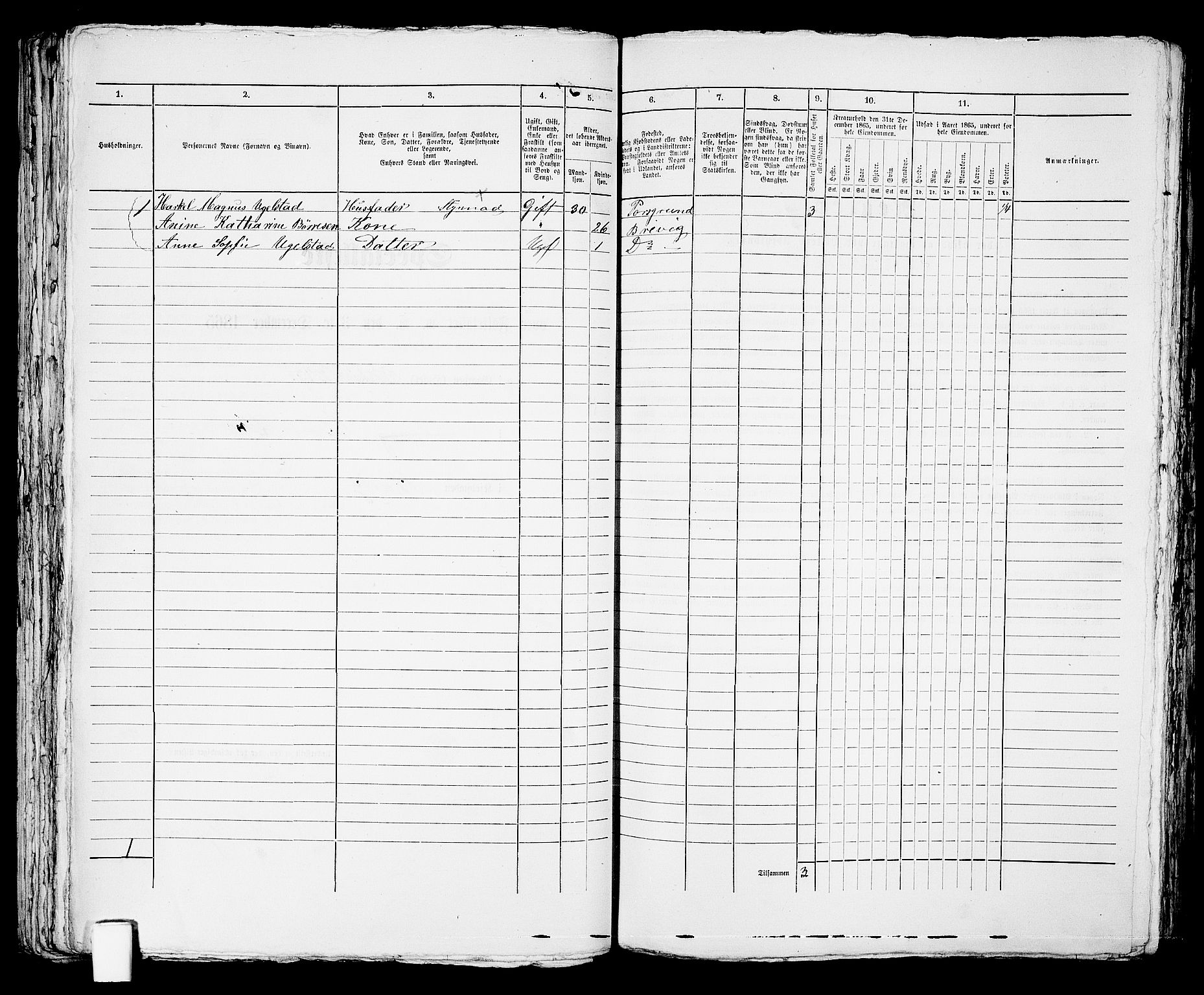 RA, 1865 census for Brevik, 1865, p. 494