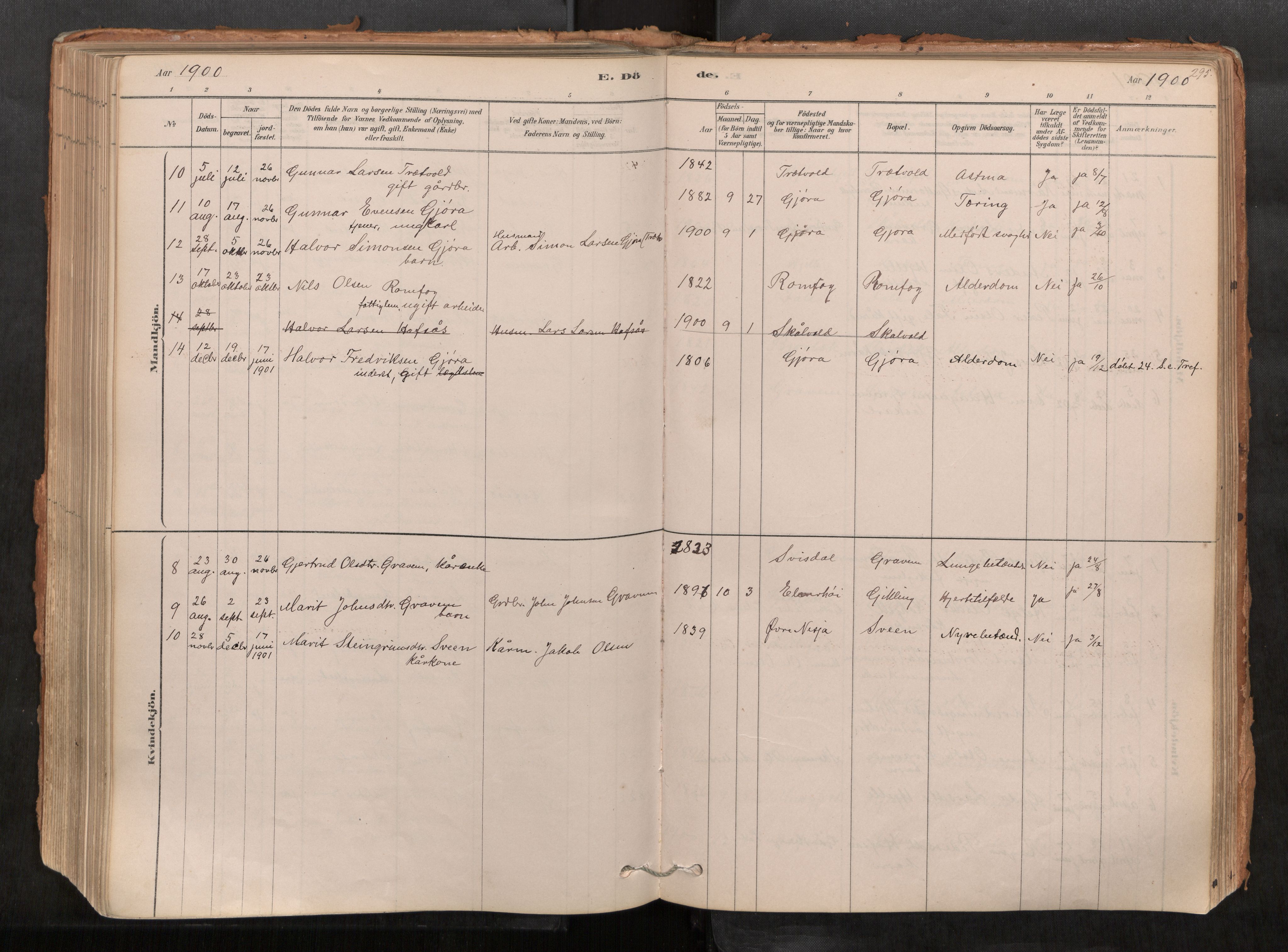 Sunndal sokneprestkontor, AV/SAT-A-1085/1/I/I1/I1a/L0001: Parish register (official) no. 1, 1877-1914, p. 295