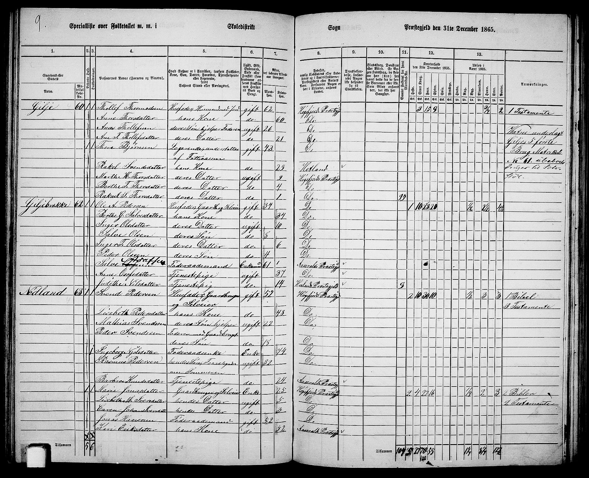 RA, 1865 census for Høgsfjord, 1865, p. 87