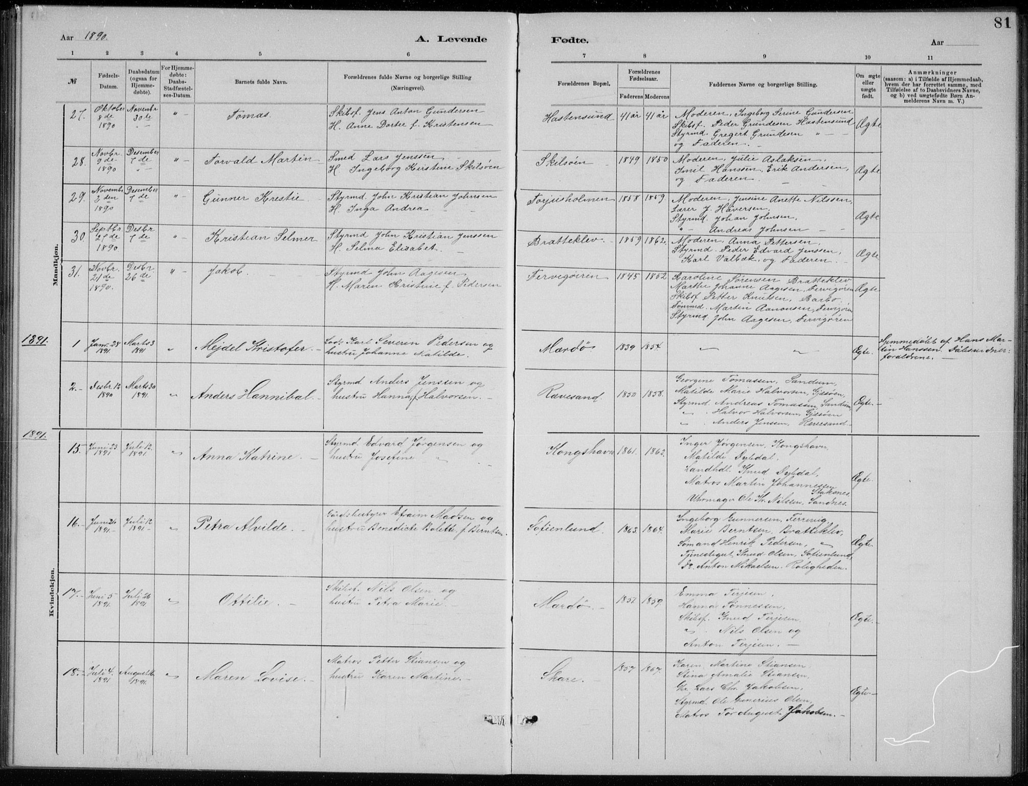 Tromøy sokneprestkontor, AV/SAK-1111-0041/F/Fb/L0005: Parish register (copy) no. B 5, 1877-1891, p. 81