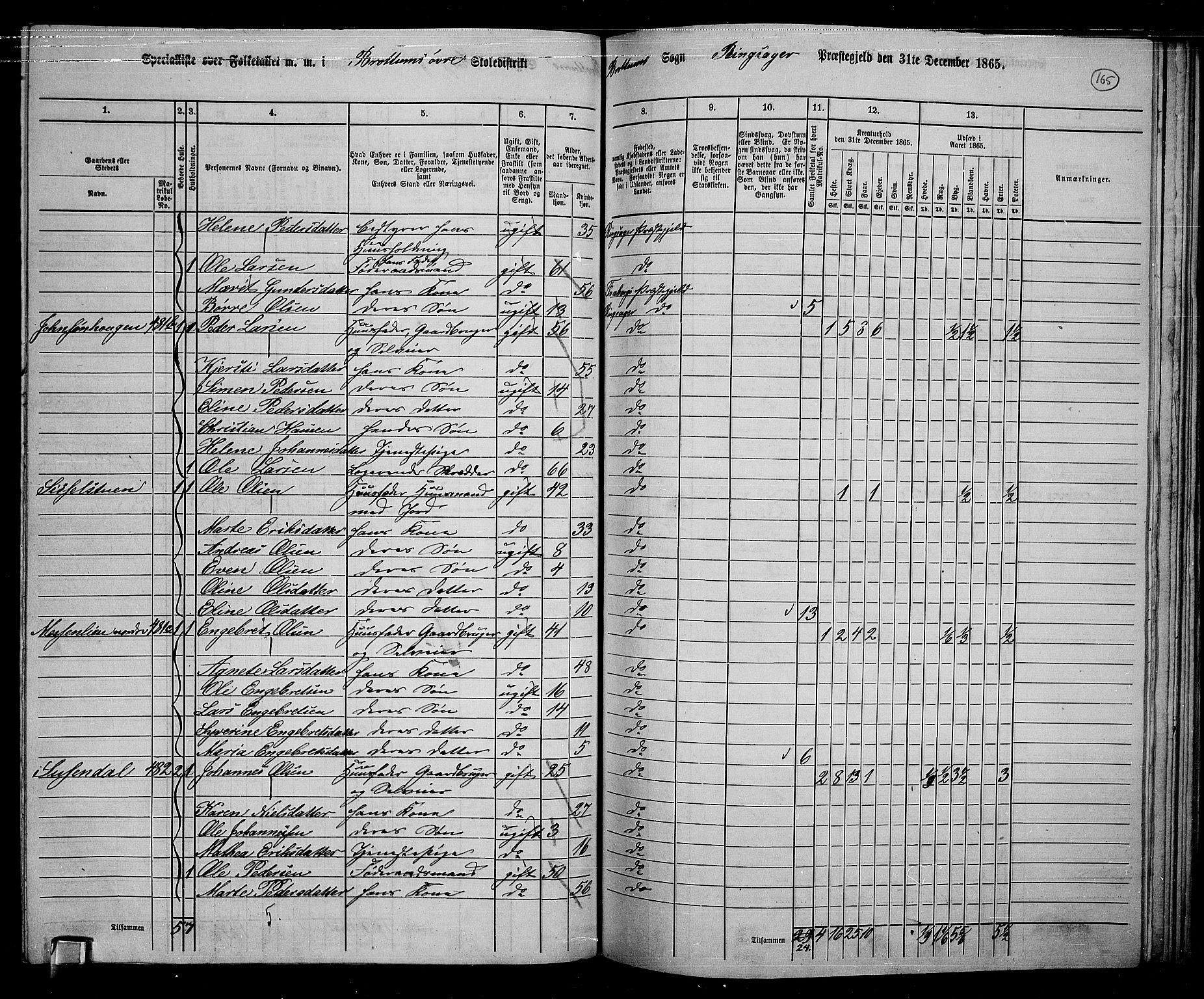 RA, 1865 census for Ringsaker, 1865, p. 409