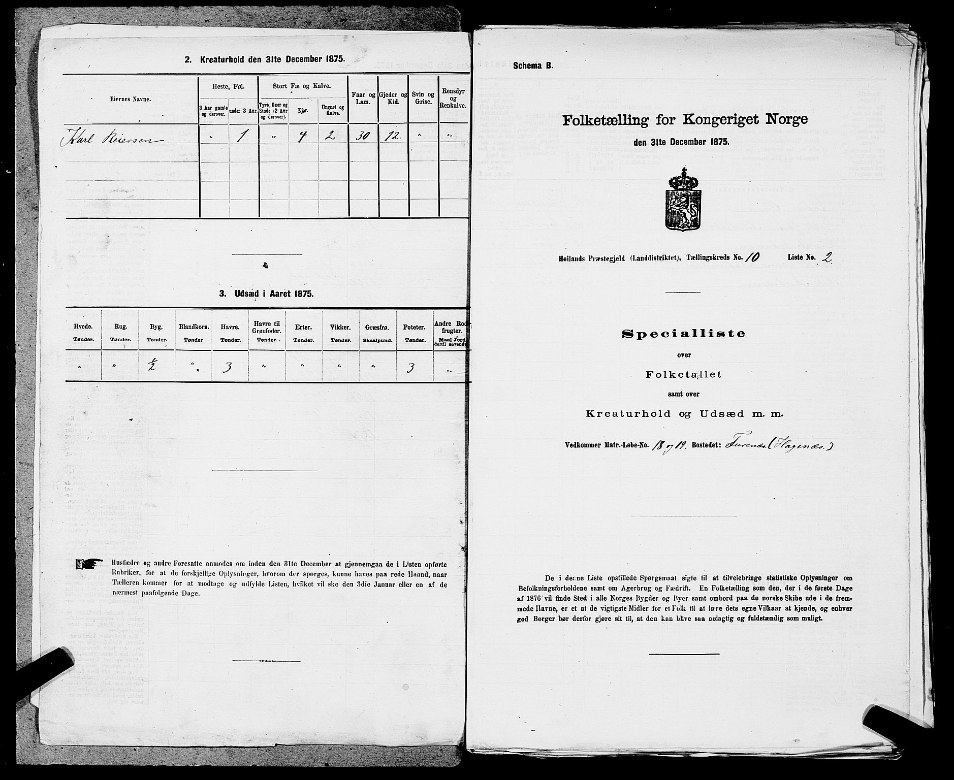 SAST, 1875 census for 1123L Høyland/Høyland, 1875, p. 1226