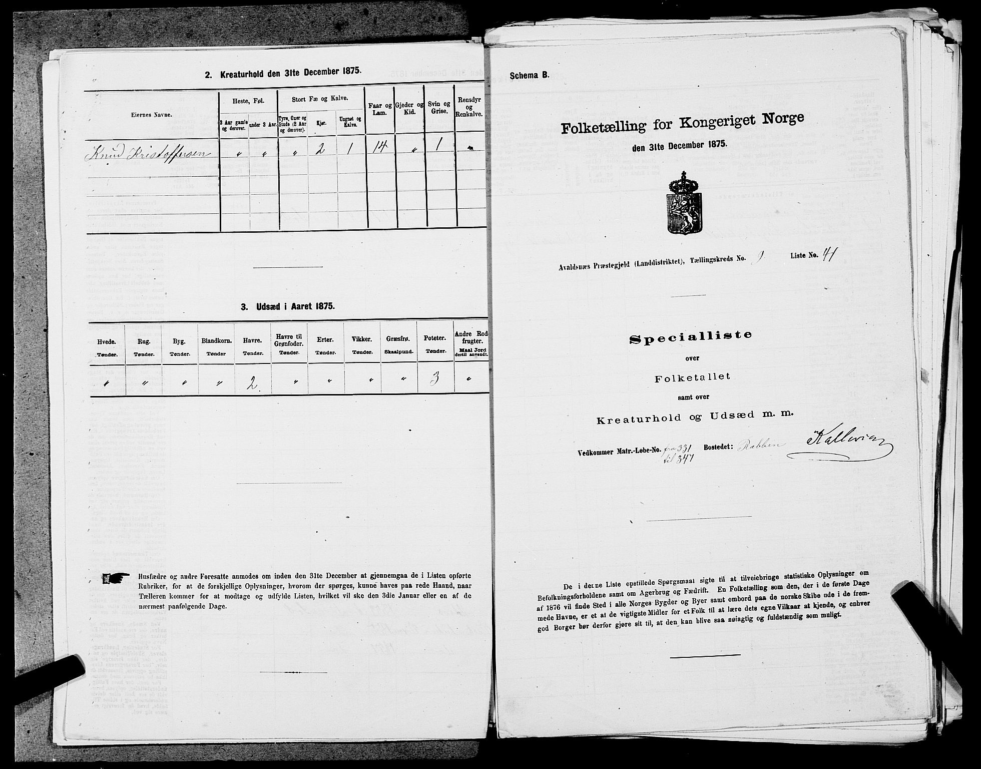 SAST, 1875 census for 1147L Avaldsnes/Avaldsnes og Kopervik, 1875, p. 1499